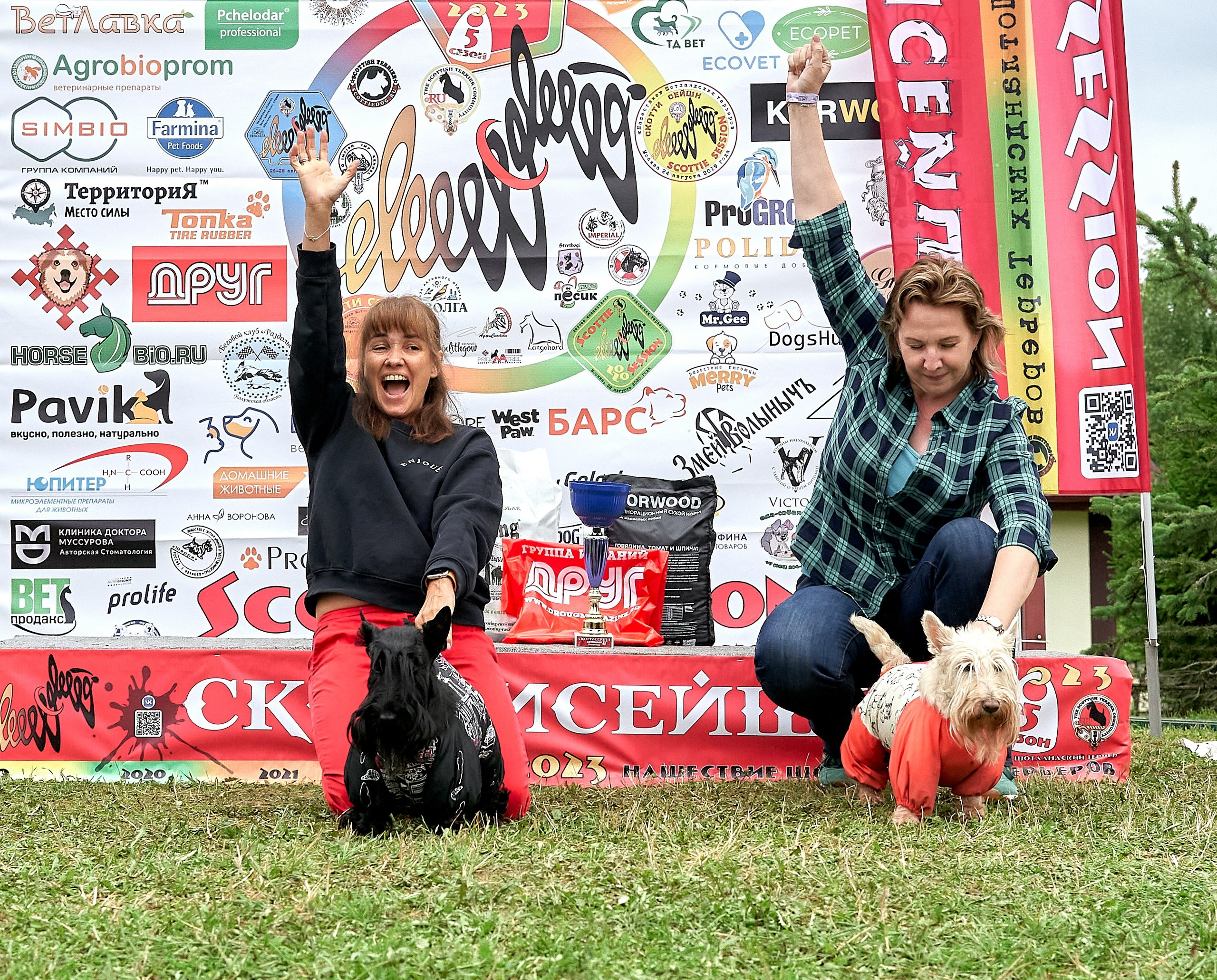 Мероприятия с собаками — галерея NATRIEL