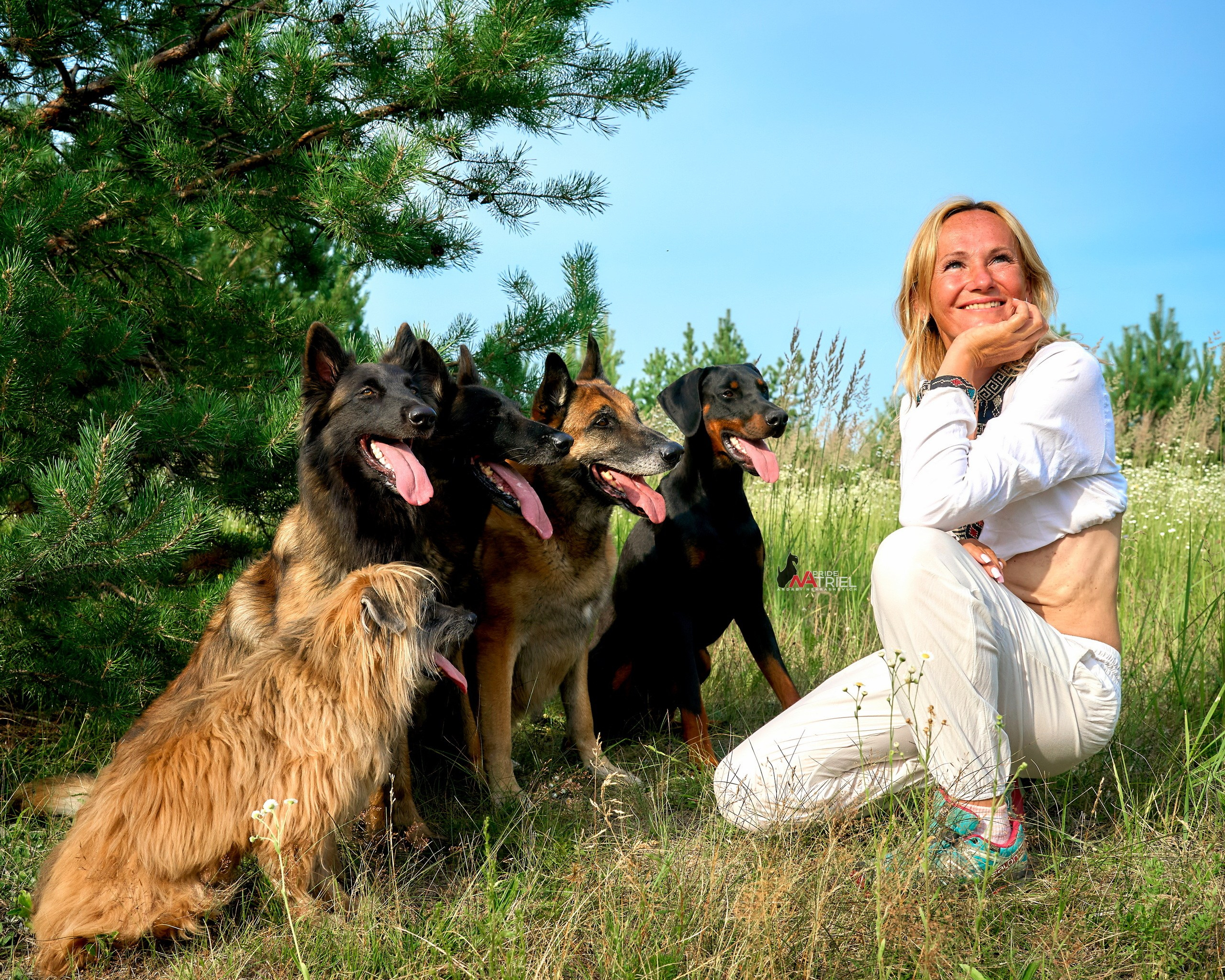 Собаки и Люди — галерея NATRIEL