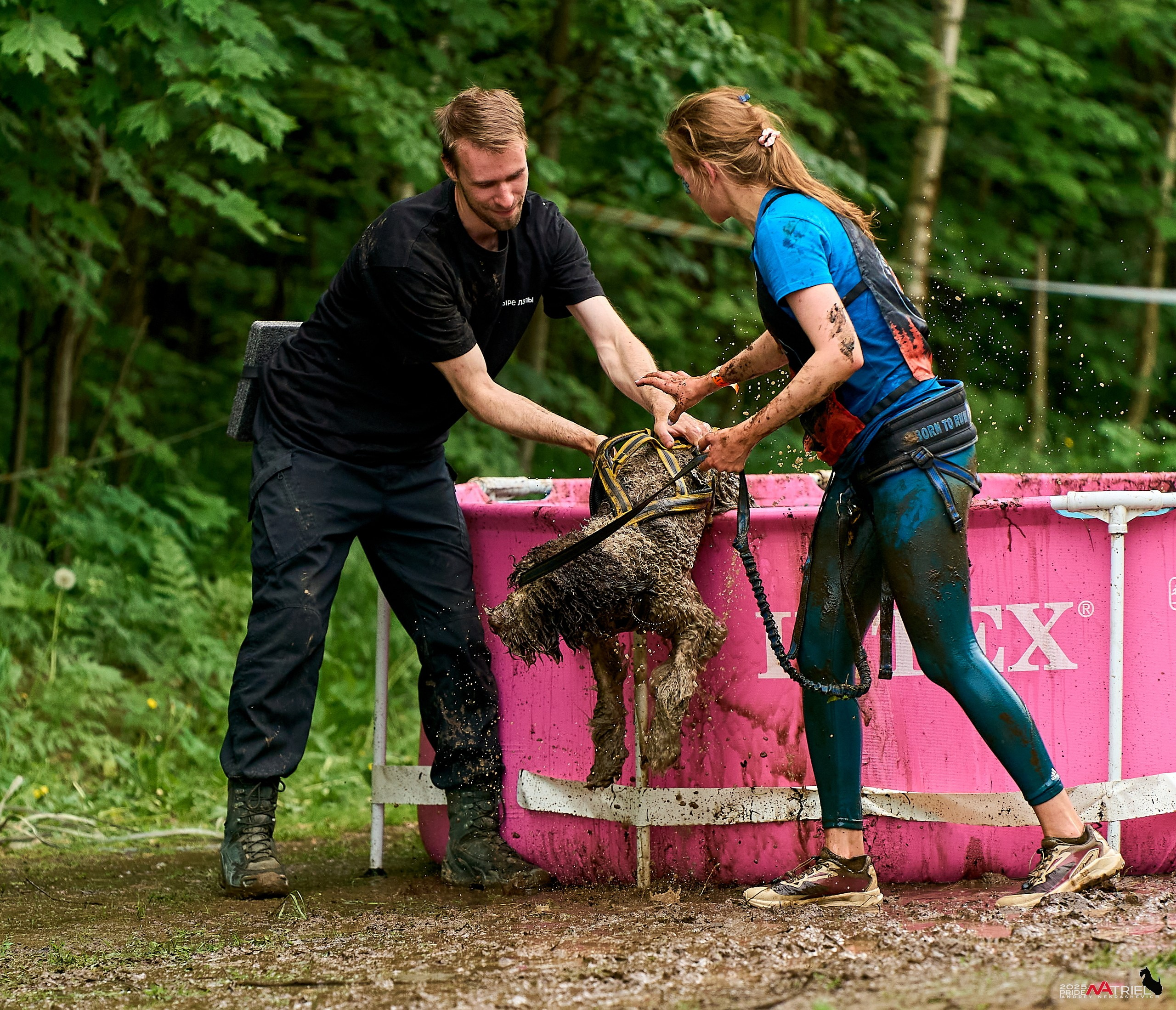 Russian Extreme Dog Trail — 2025