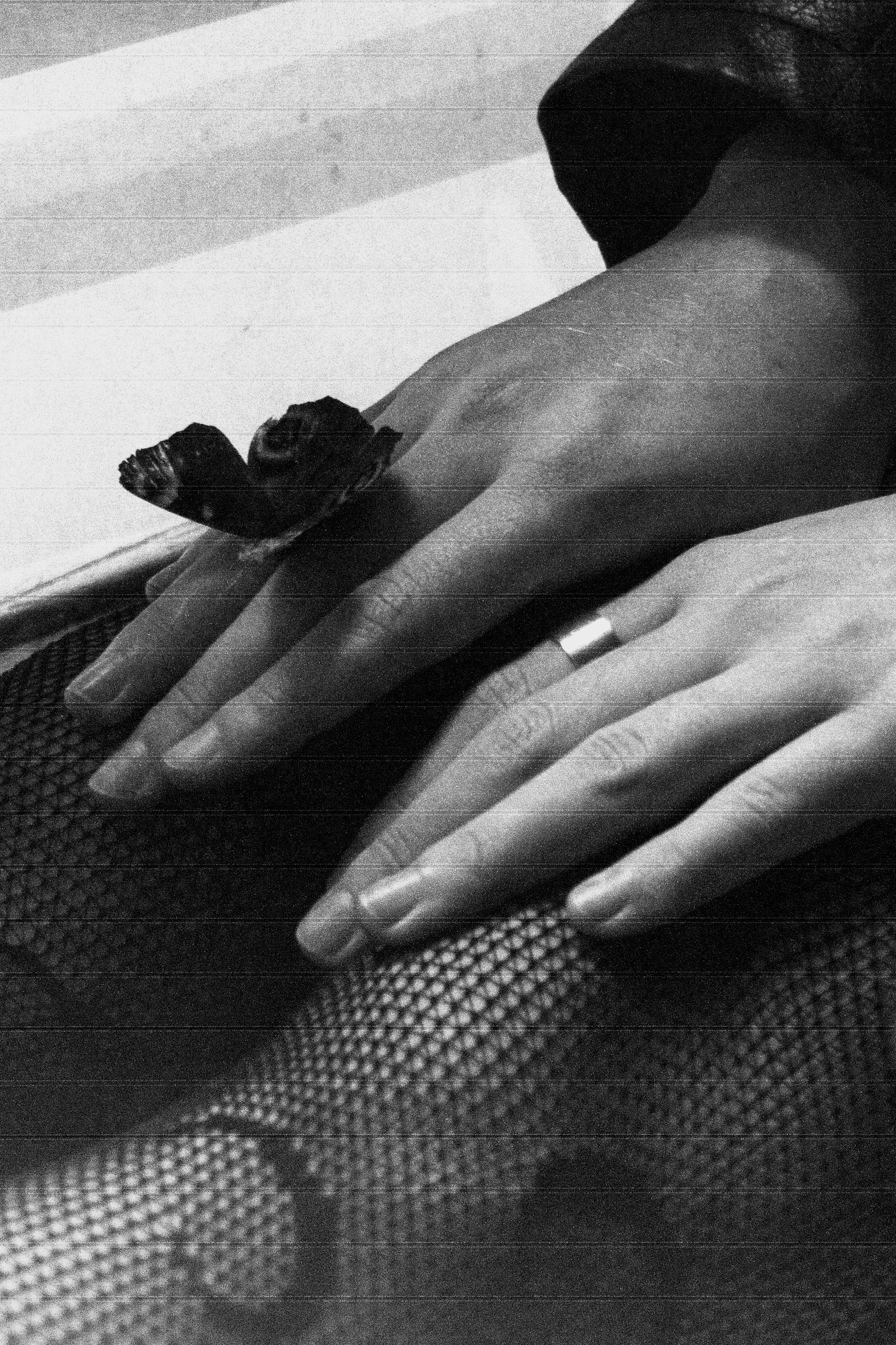 2022. Фотограф Алёна Жукова