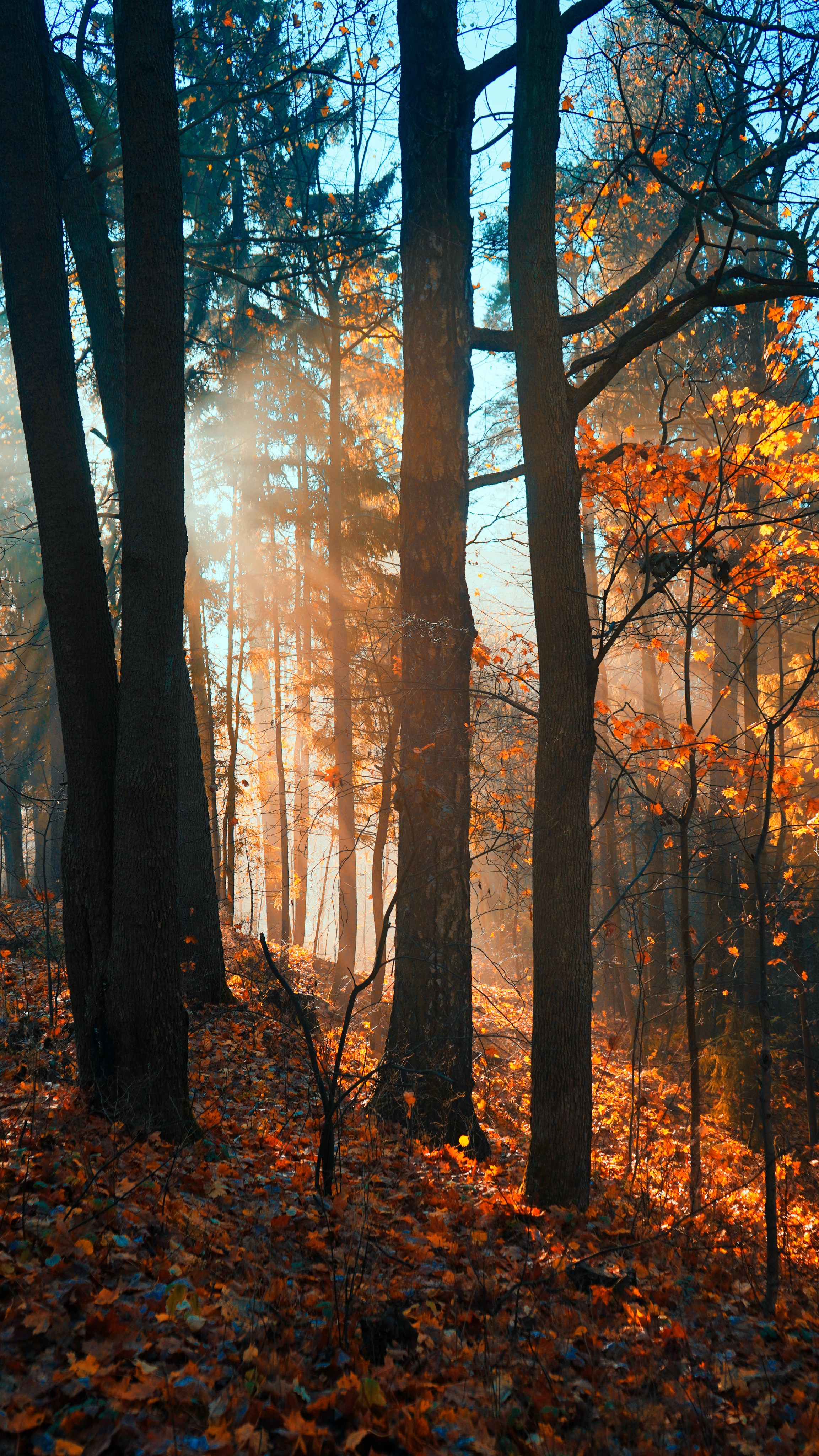 Путешествия. Репортажная съемка фото|видео