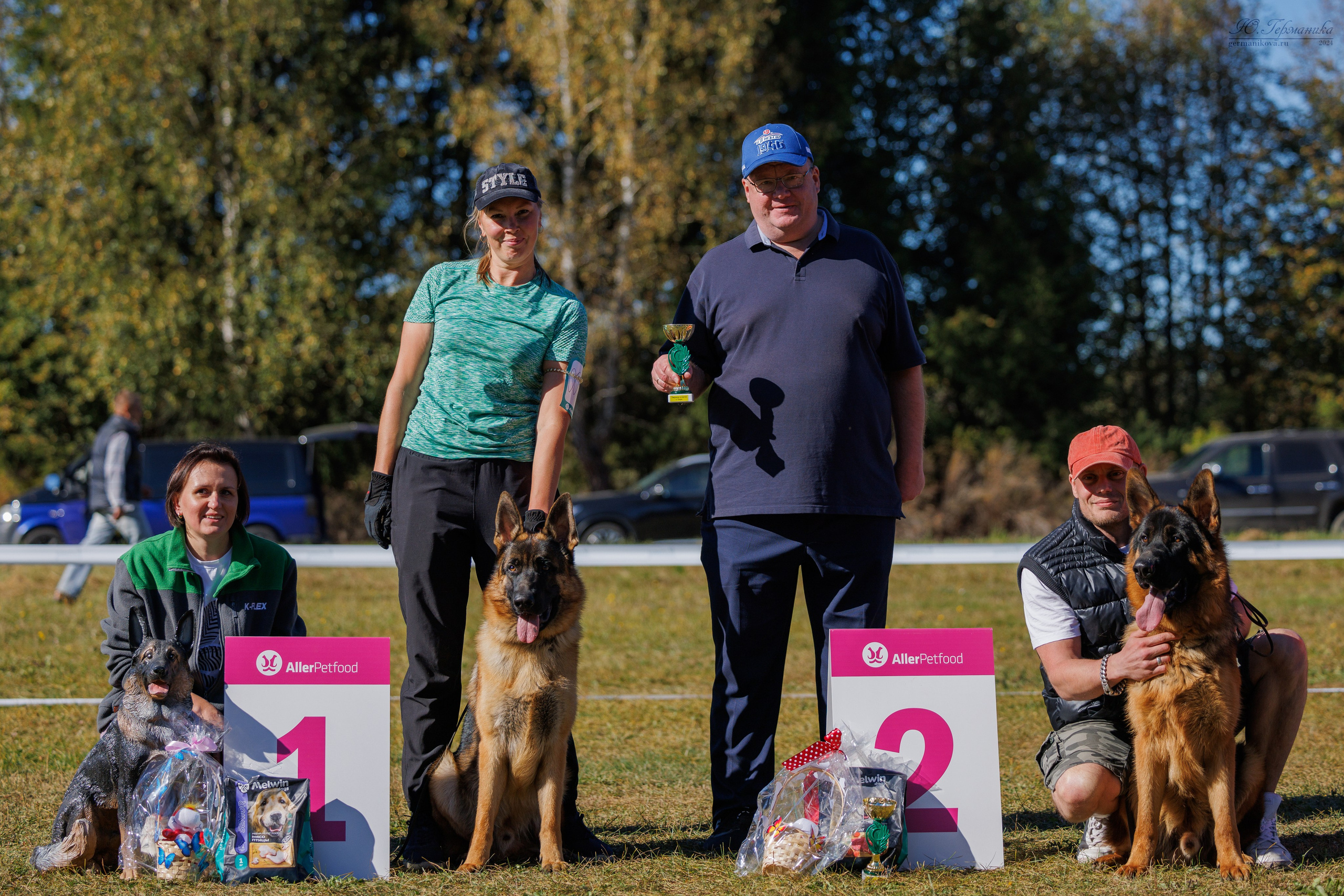 Тверь немецкие овчарки 22.09.2024. Фотограф-анималист Юлия Германика