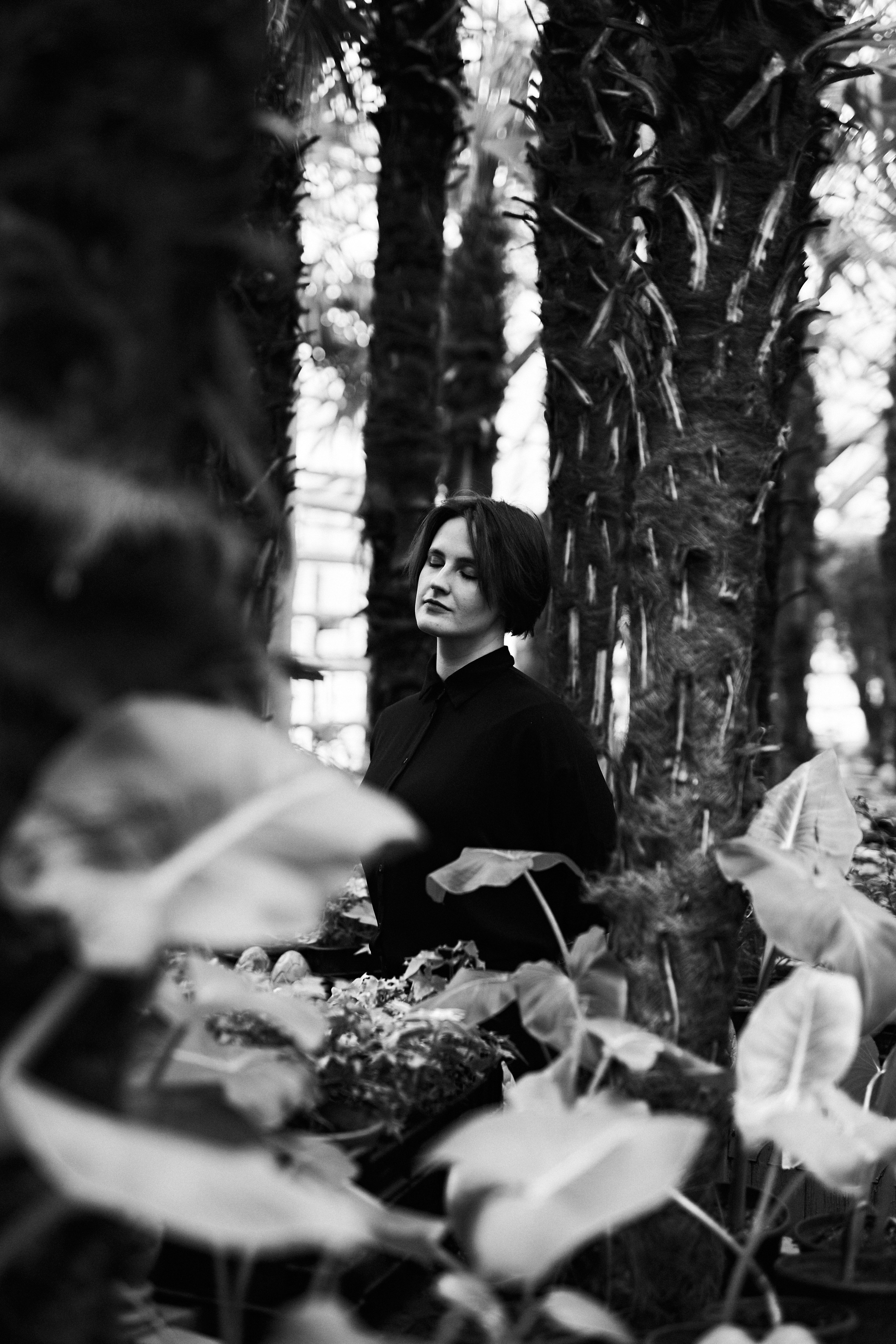 Wild Les. Александр Сазонов Красноярск