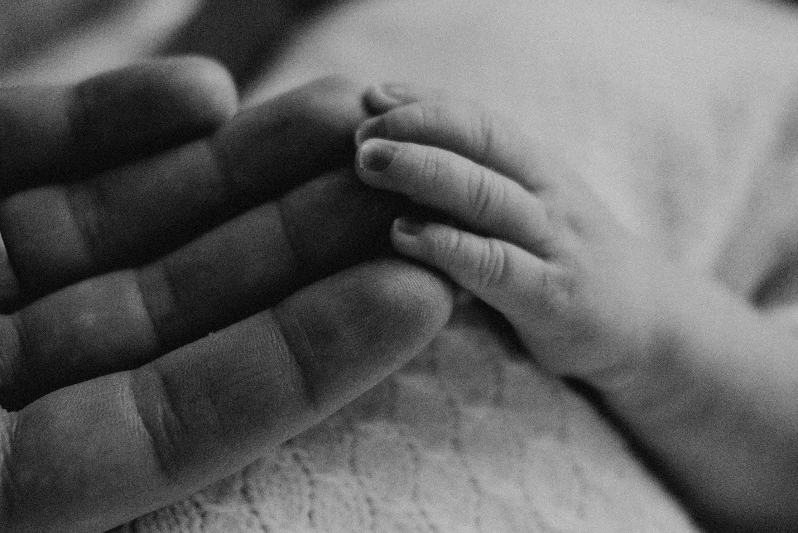 Марк — добро пожаловать в этот мир. Семейный фотограф в Оренбурге Юлия Зиборева