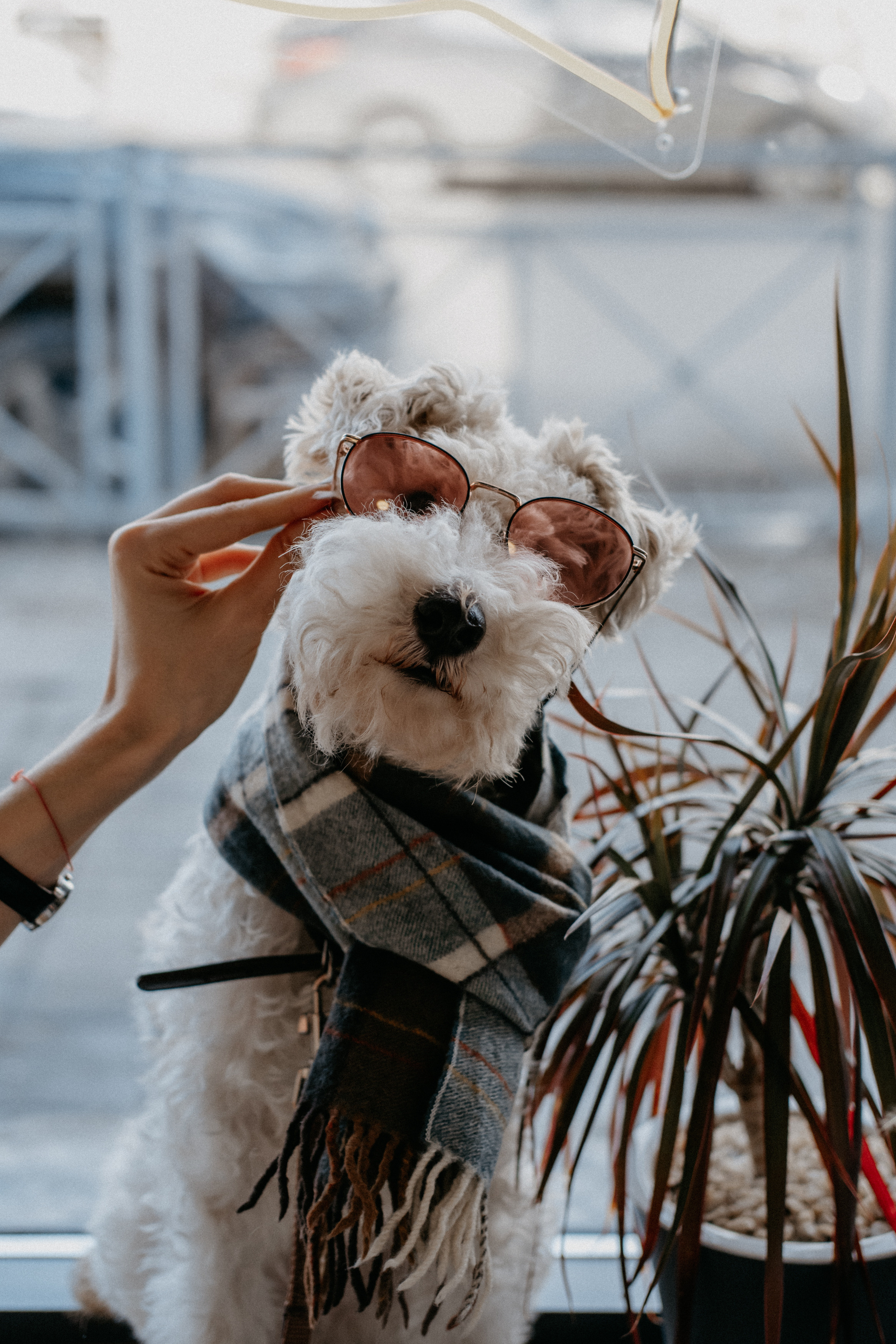 Про любовь. Семейный фотограф в Оренбурге Юлия Зиборева