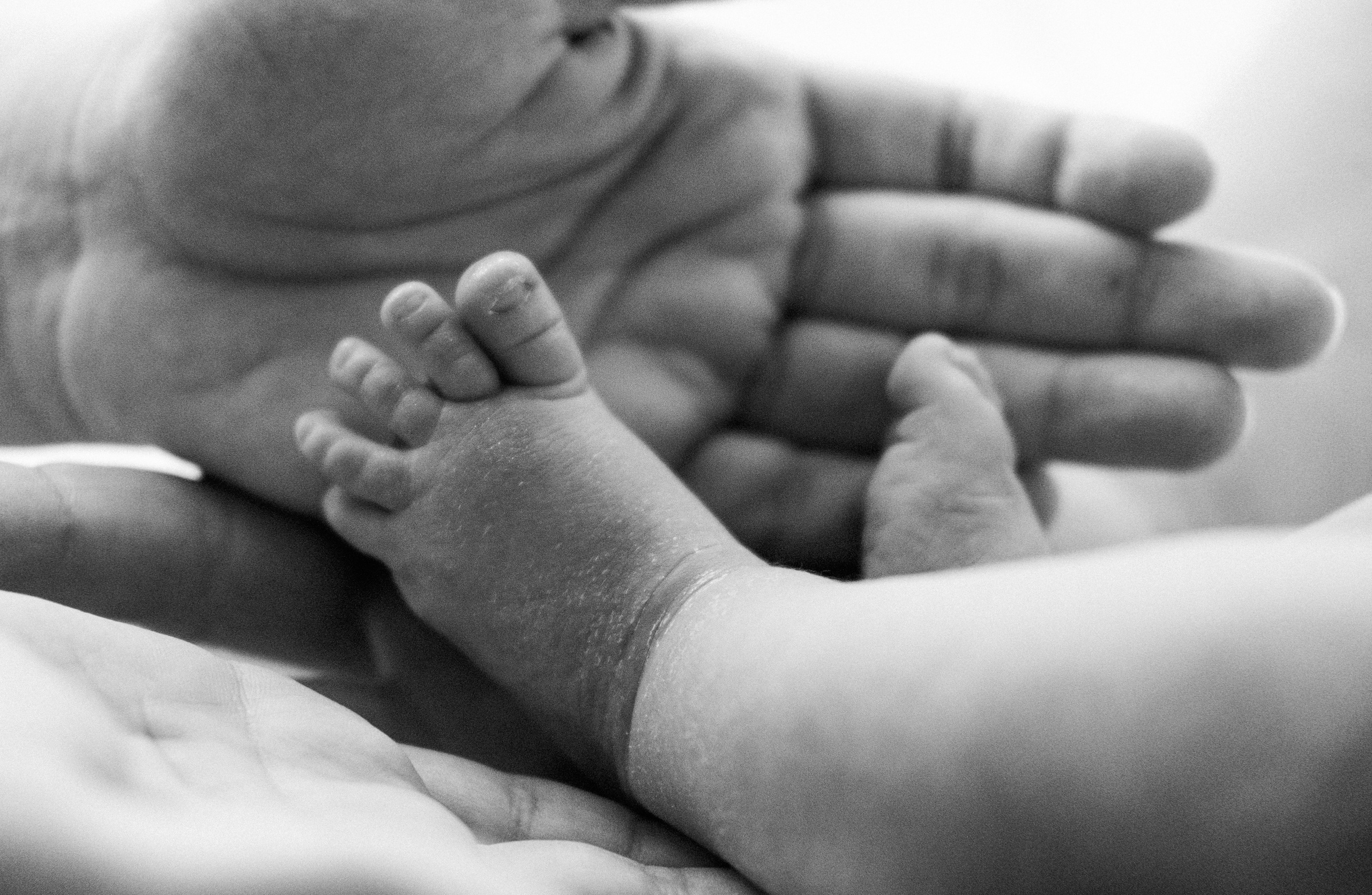 Нас стало больше. Семья Плотниковых. Семейный фотограф в Оренбурге Юлия Зиборева