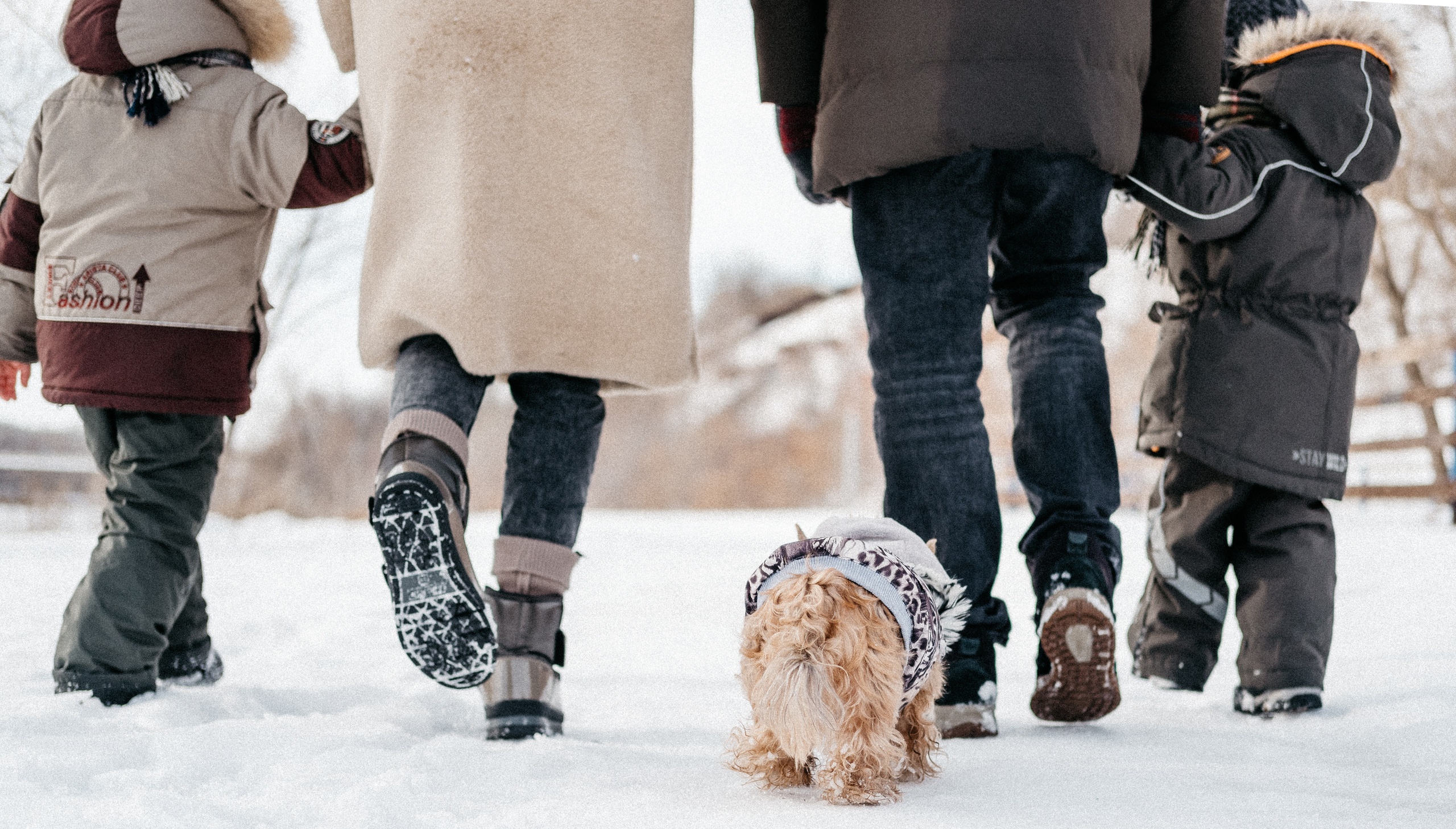 Костя  Ксюша  Кирилл  Клим. Семейный фотограф в Оренбурге Юлия Зиборева