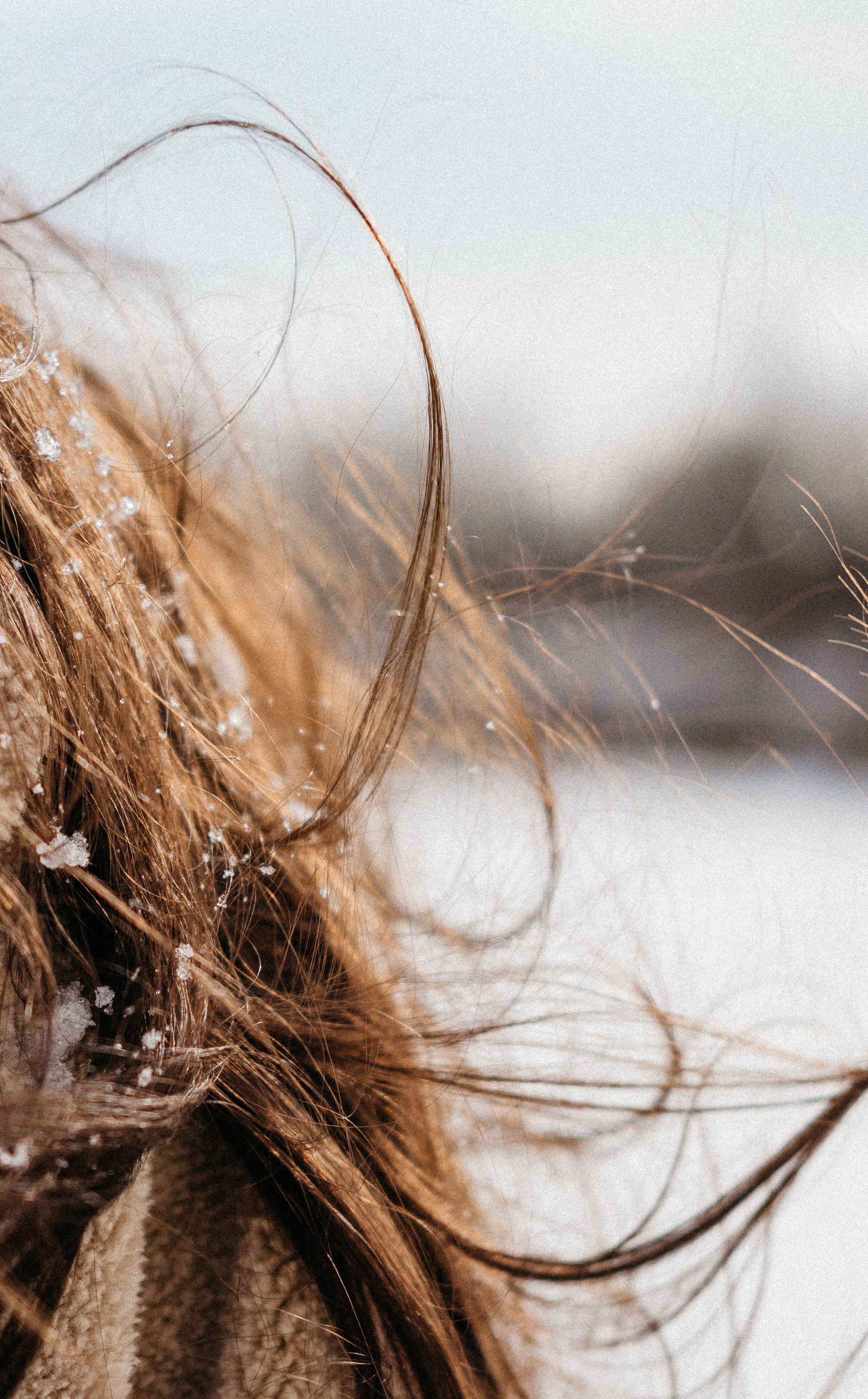 Костя  Ксюша  Кирилл  Клим. Семейный фотограф в Оренбурге Юлия Зиборева