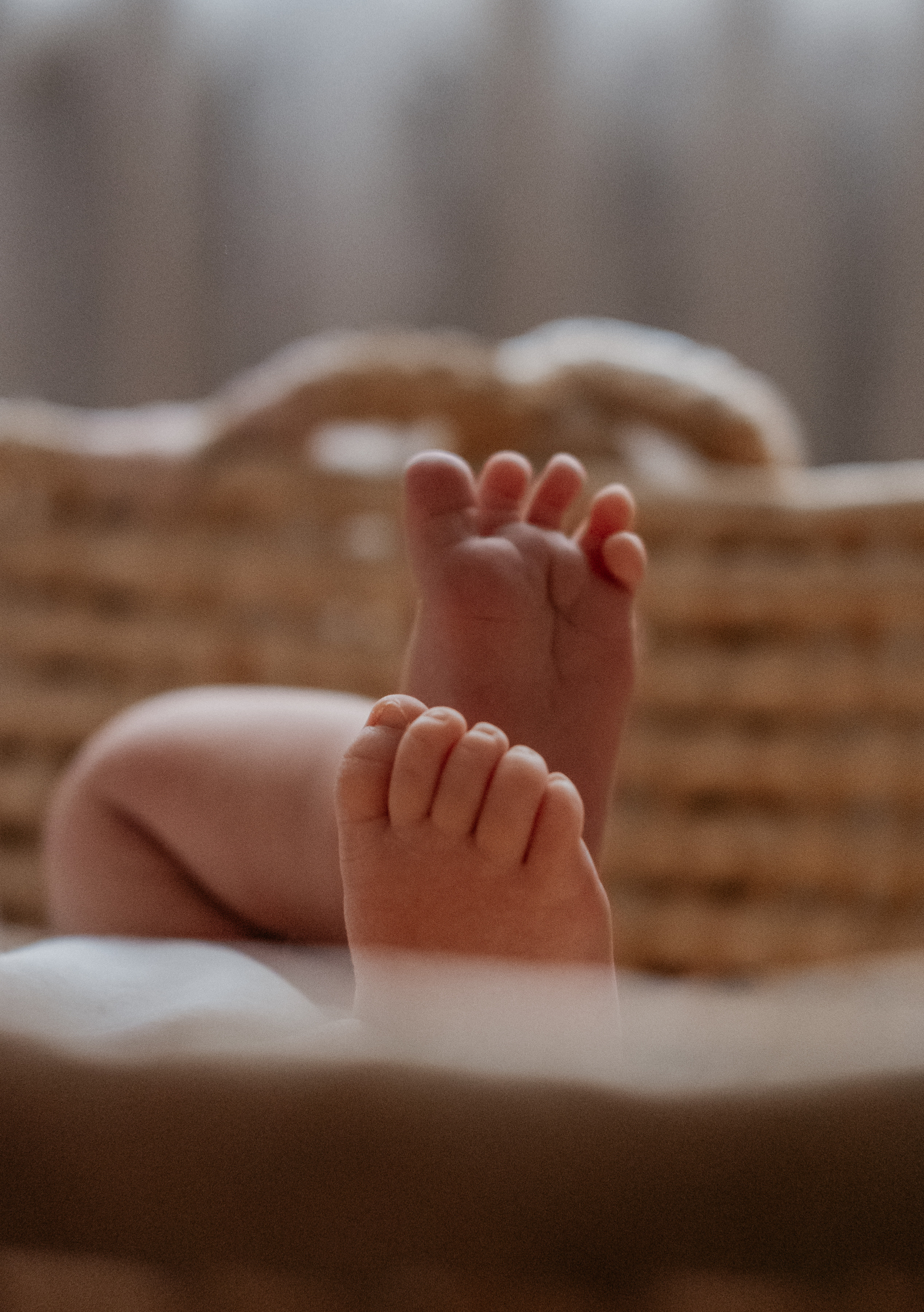 Нас стало больше. Семья Плотниковых. Семейный фотограф в Оренбурге Юлия Зиборева