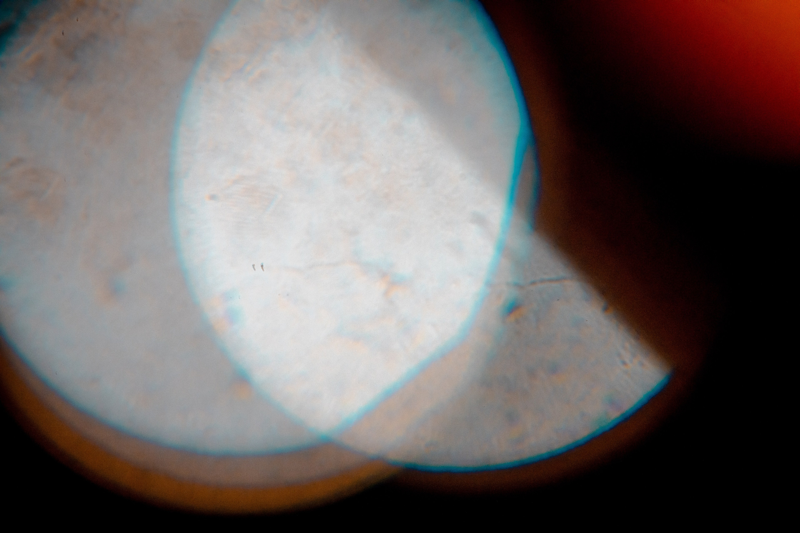 АЛЕКСЕЙ РУМЯНЦЕВ. Фотограф Елена Богачева (lenalena_na_na_na)