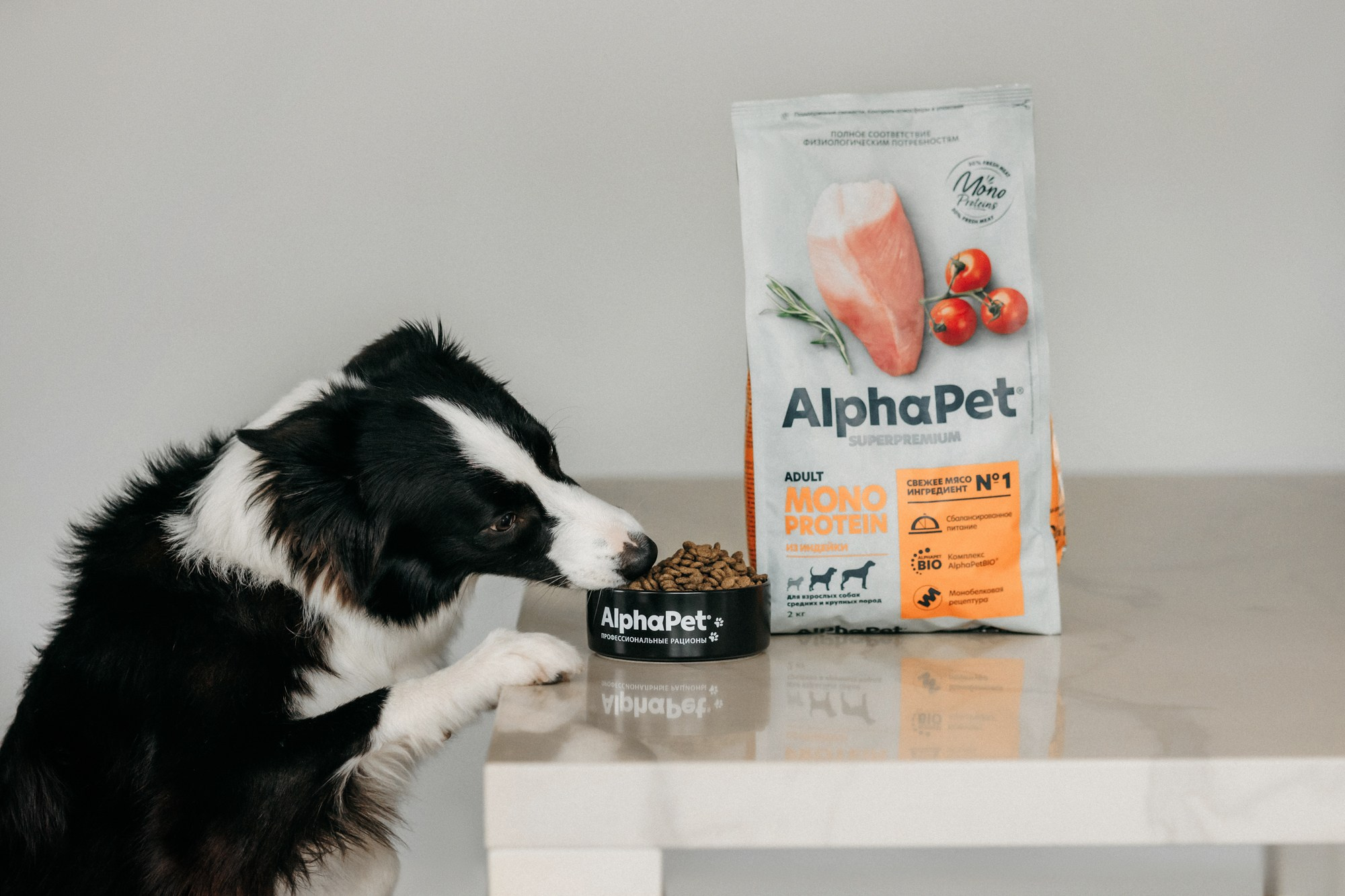 Корма Alpha Pet. Фотограф-анималист Елена Радченко, Москва