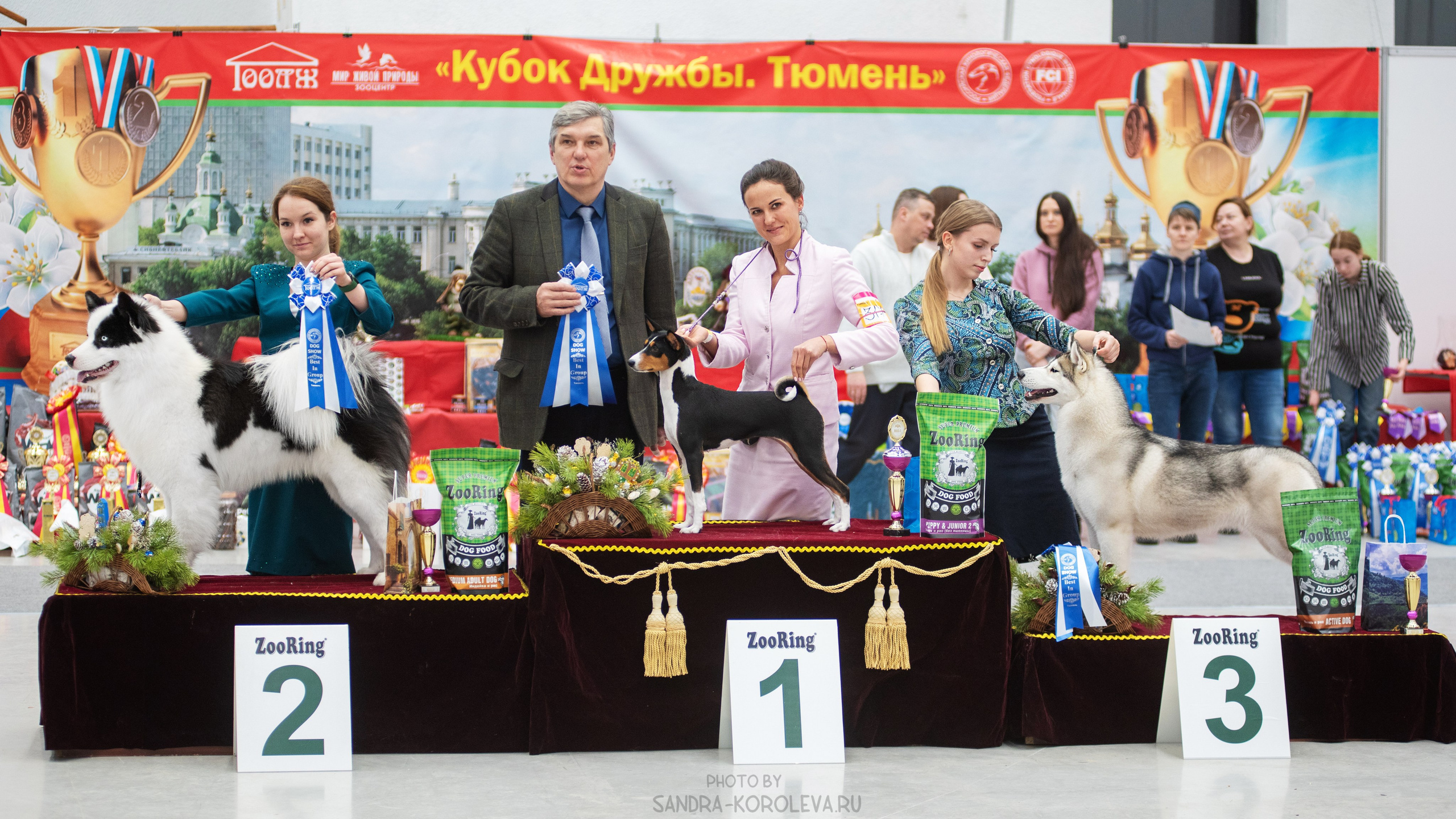 Выставка собак тюмень 14.01.2023. Дог-фотограф в Тюмени Александра Королева