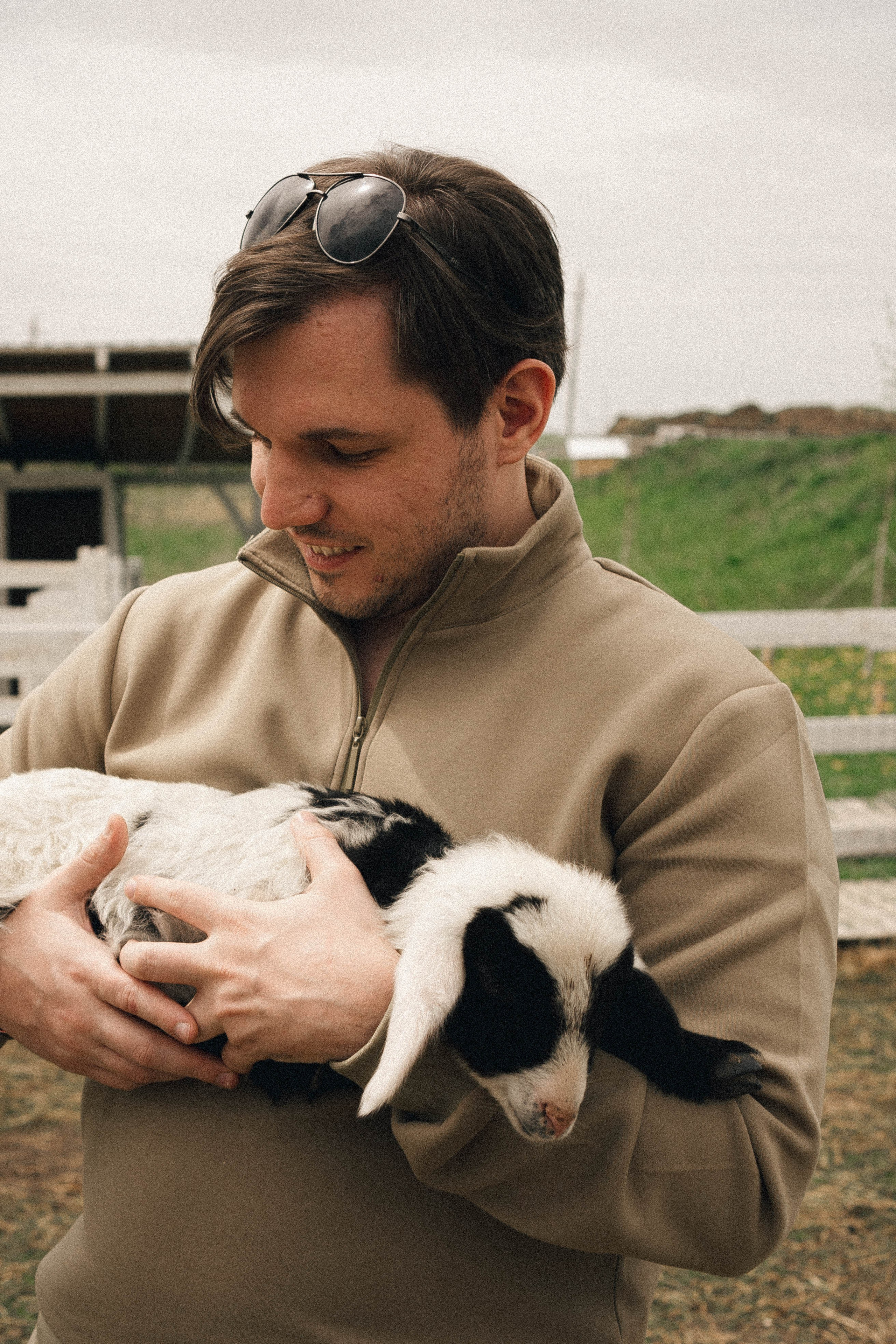 Ферма Альпак. Профессиональный фотограф, Санкт-Петербург — Виктория Богомолова