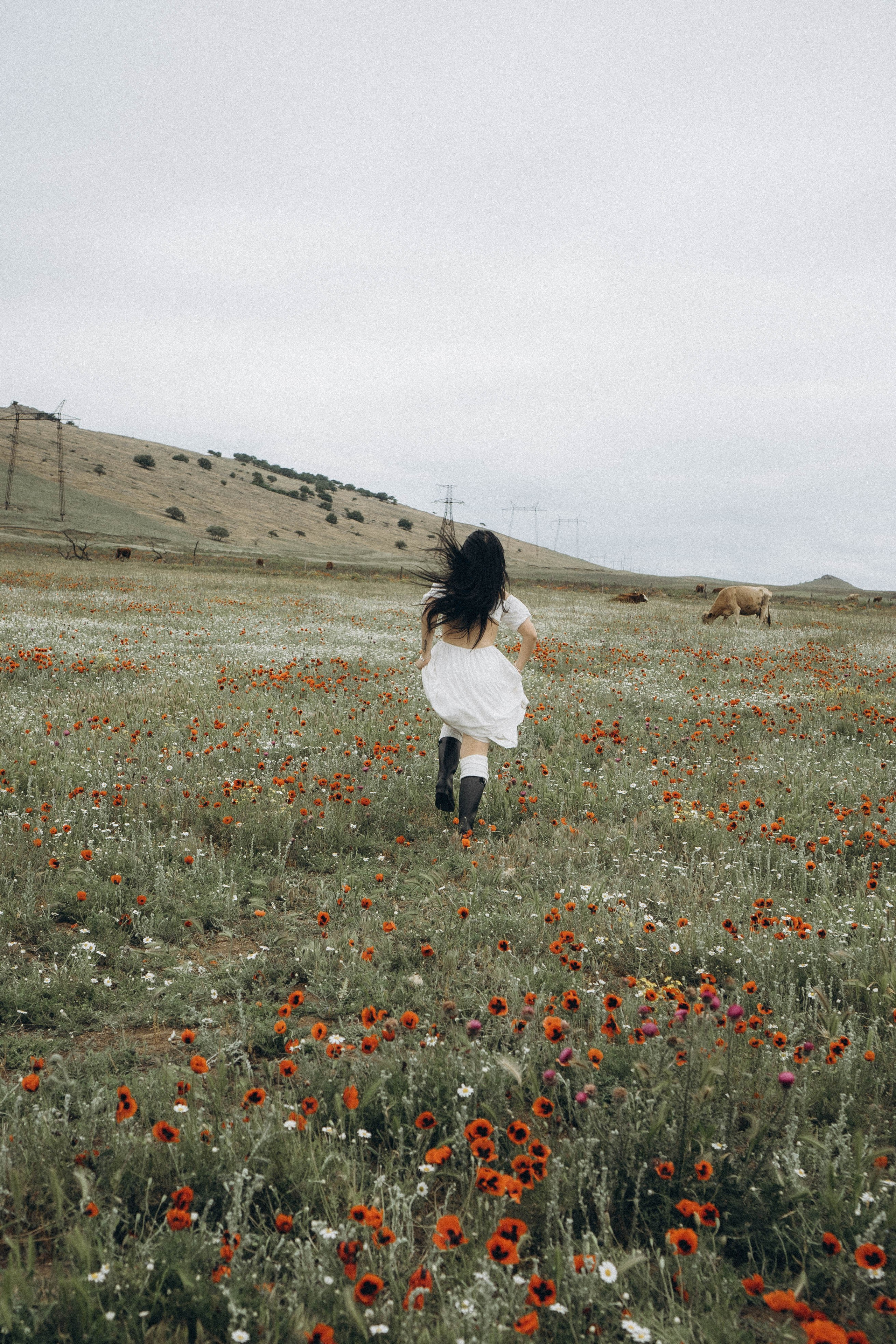 Маковое поле. Профессиональный фотограф, Санкт-Петербург — Виктория Богомолова