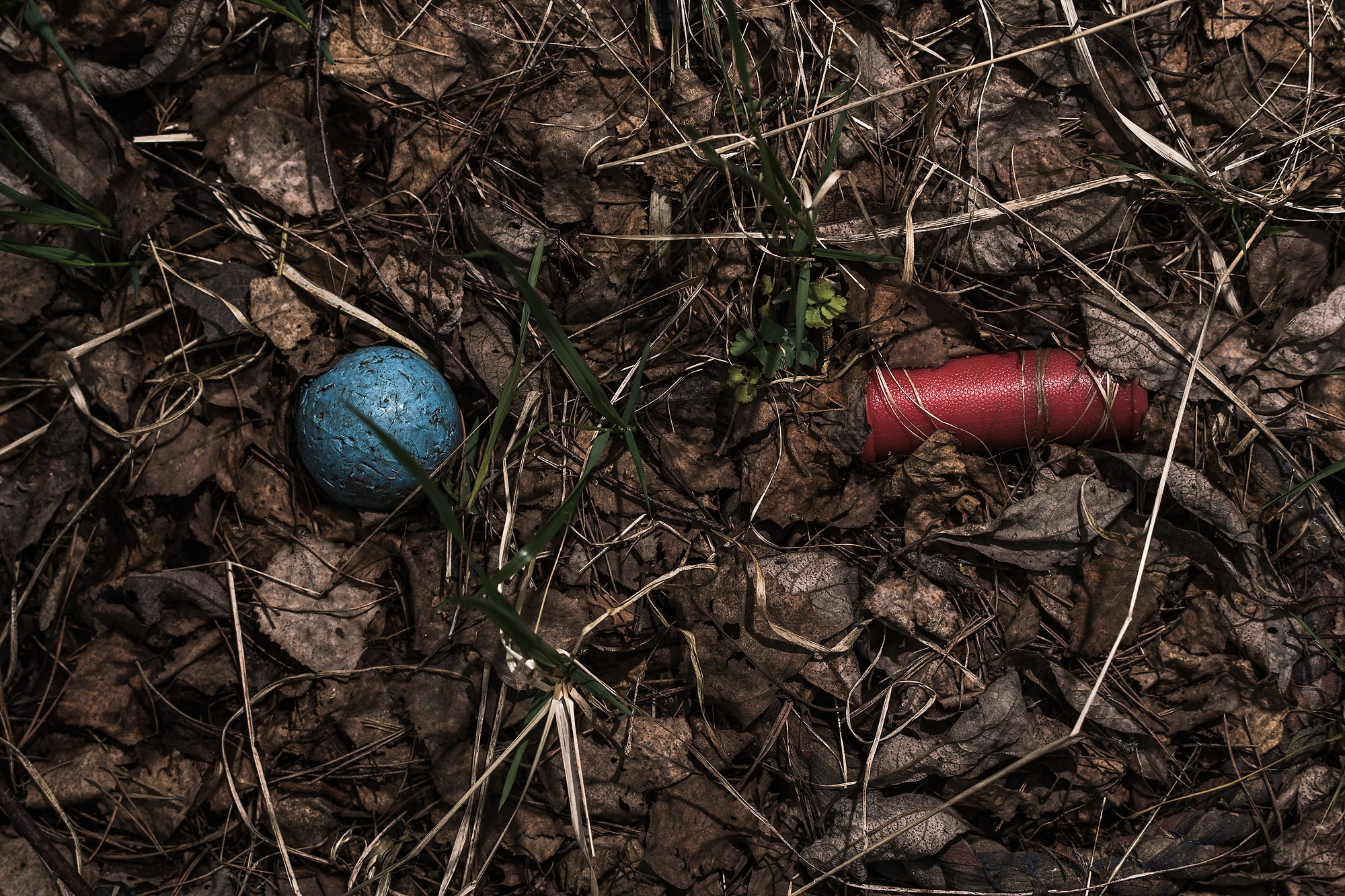 Кладбище домашних животных. Промышленная и репортажная фотография