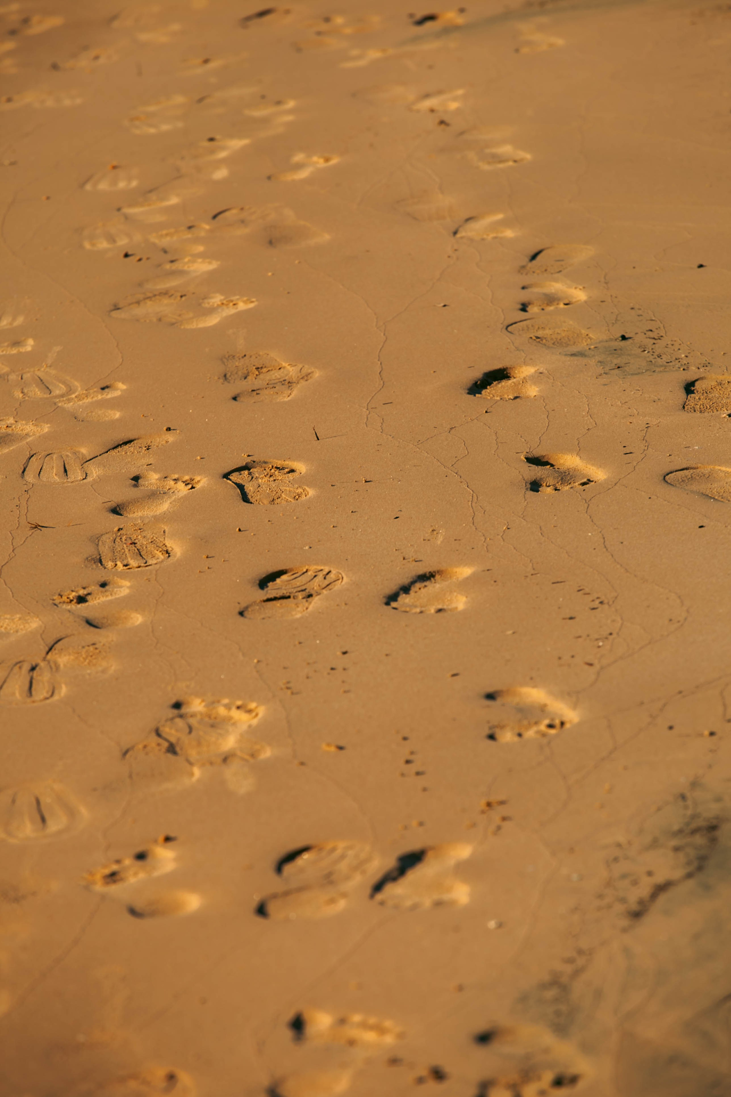 ОТПУСК. Репортажная и студийная съёмка в Челябинске — Захар Стеничкин