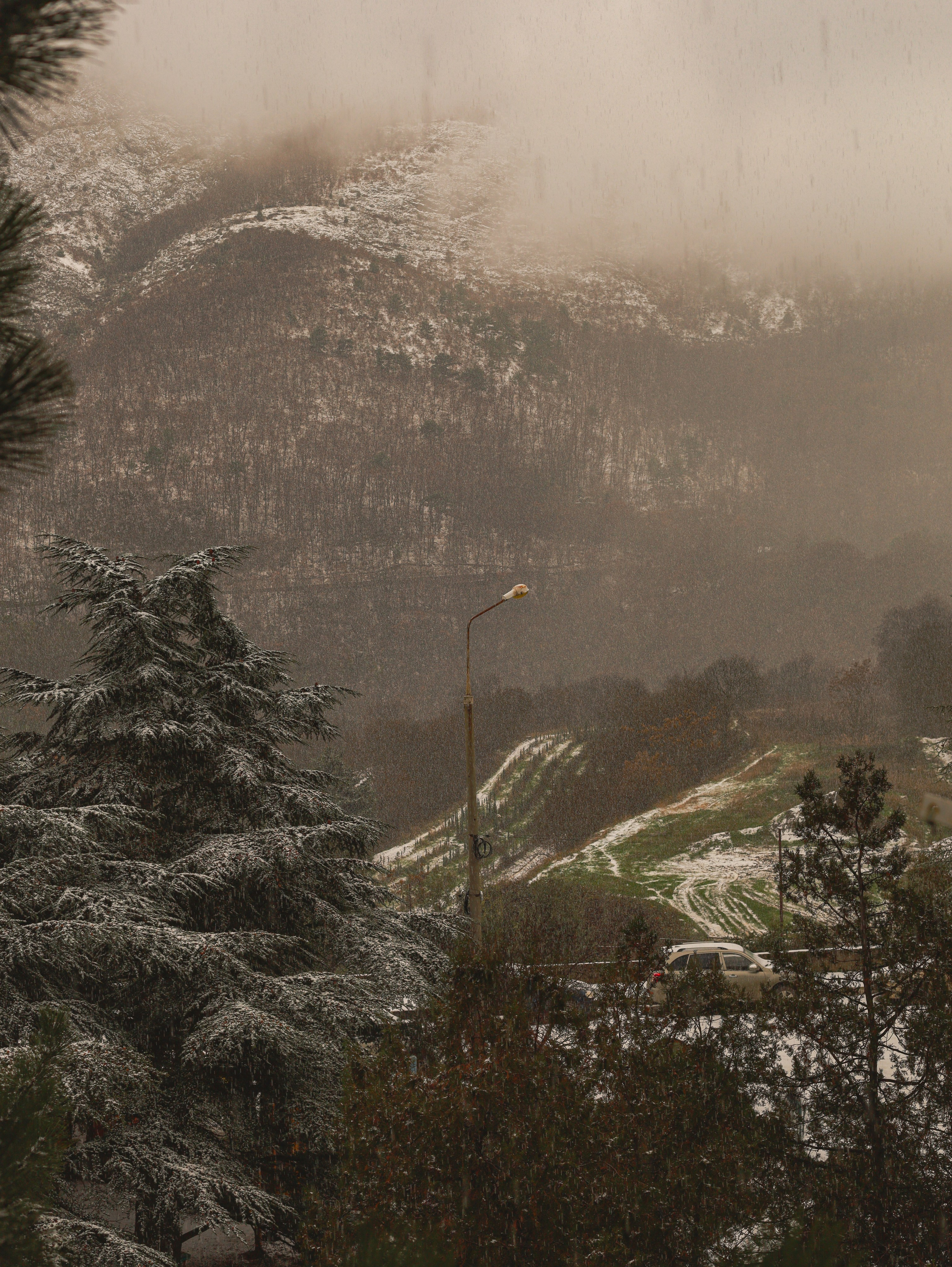 Природа &. Фотохудожник в СПб