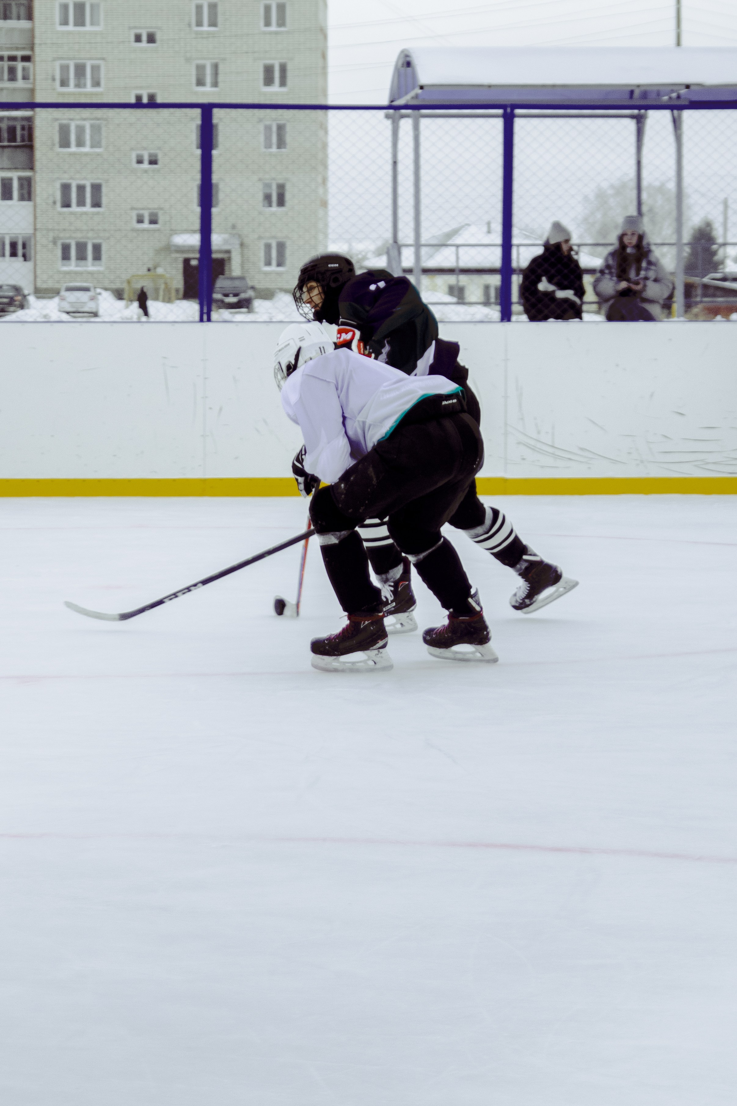 Хоккей 29.12.2024