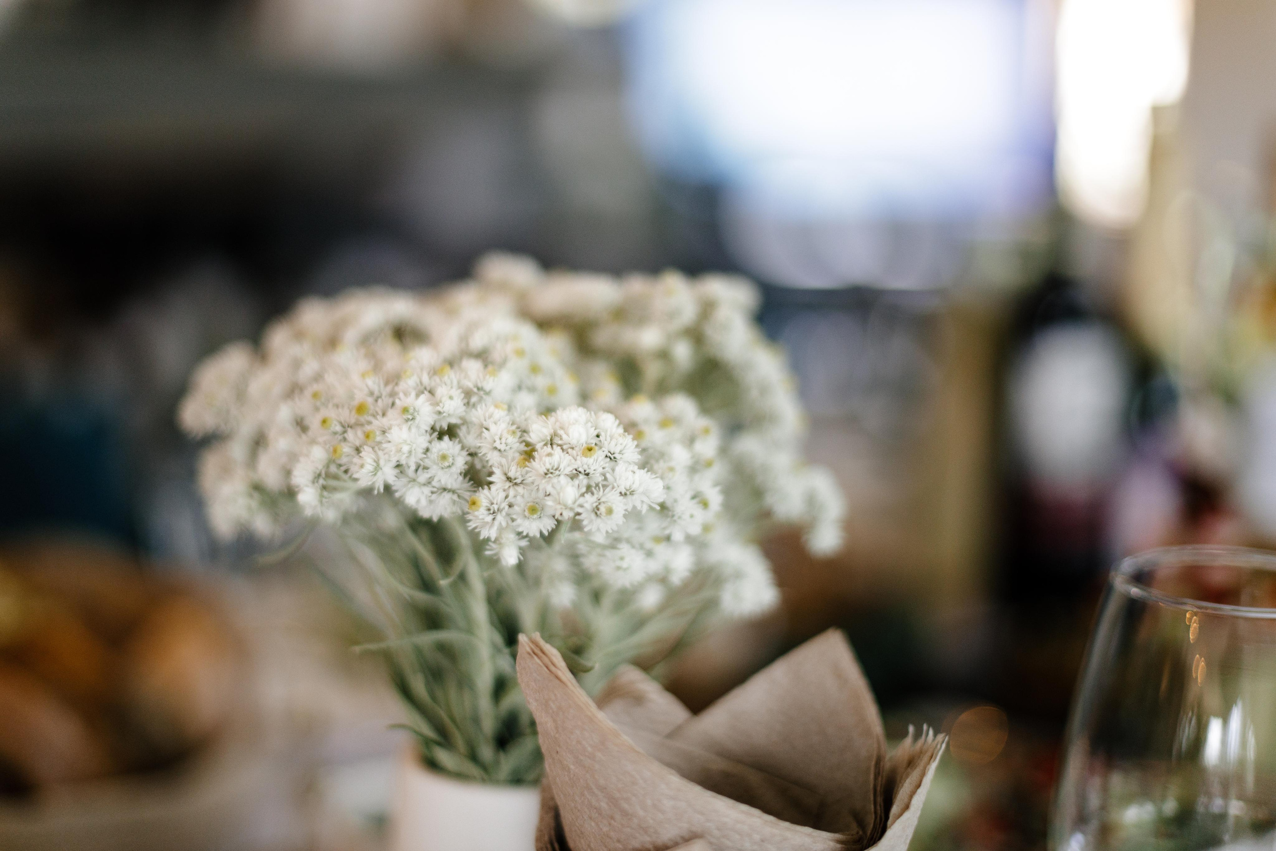 Алина и Алексей. Свадебный фотограф в Пскове Алексей Архипов