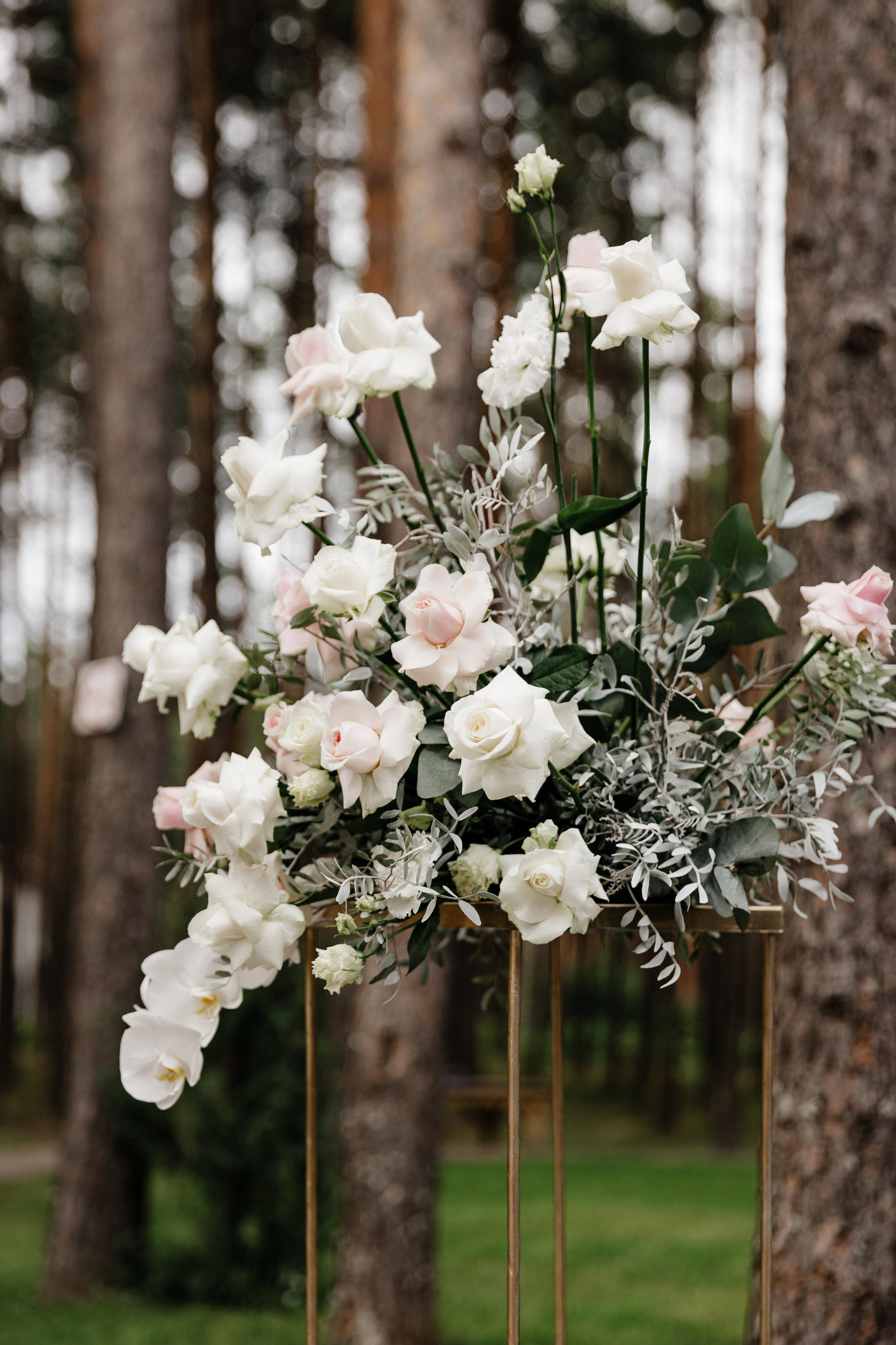 Антон и Света. Свадебный фотограф в Пскове Алексей Архипов