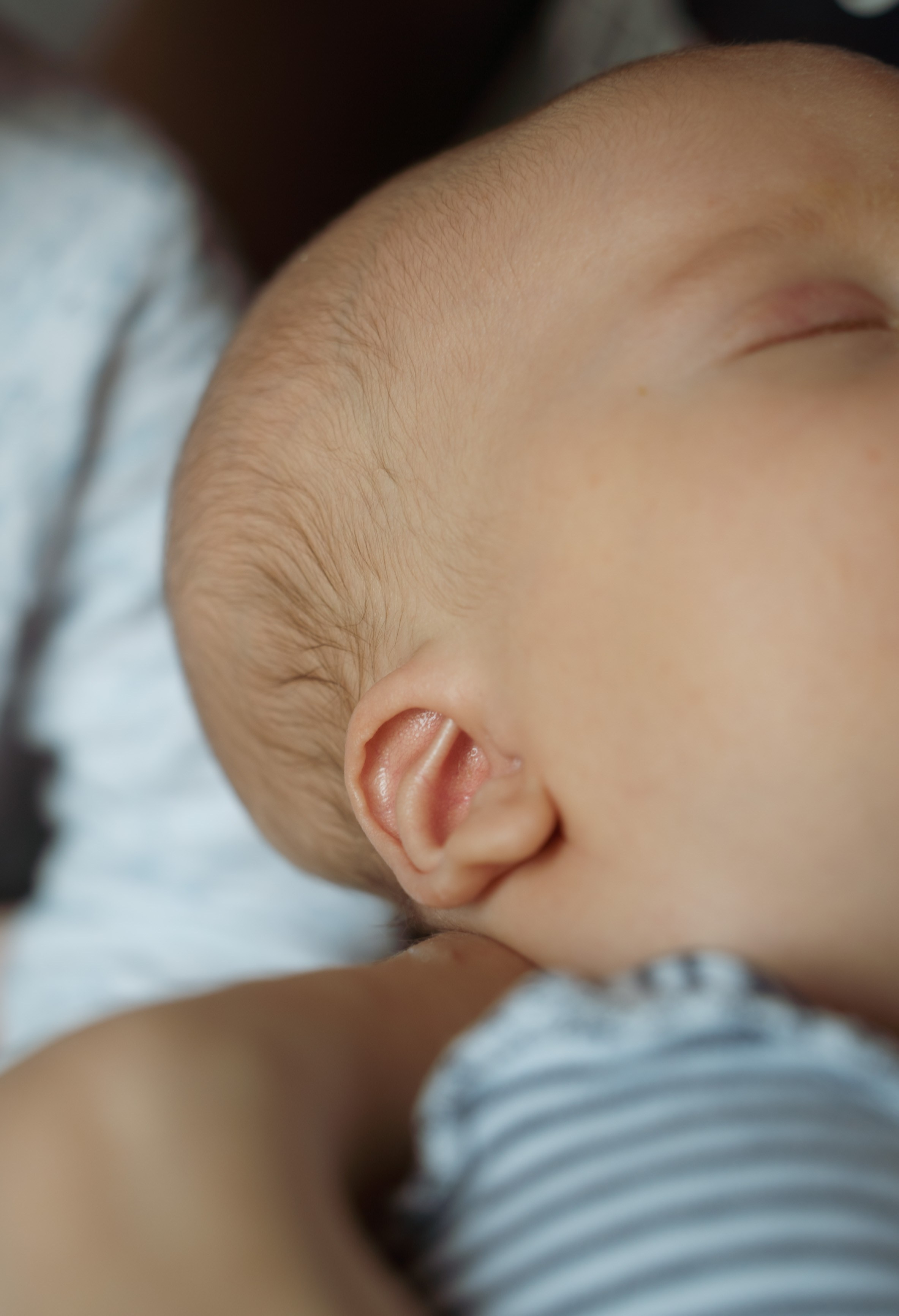 Домашняя фотосессия с двумя детьми. Видеограф Осинина Татьяна — видеосъемка в Москве