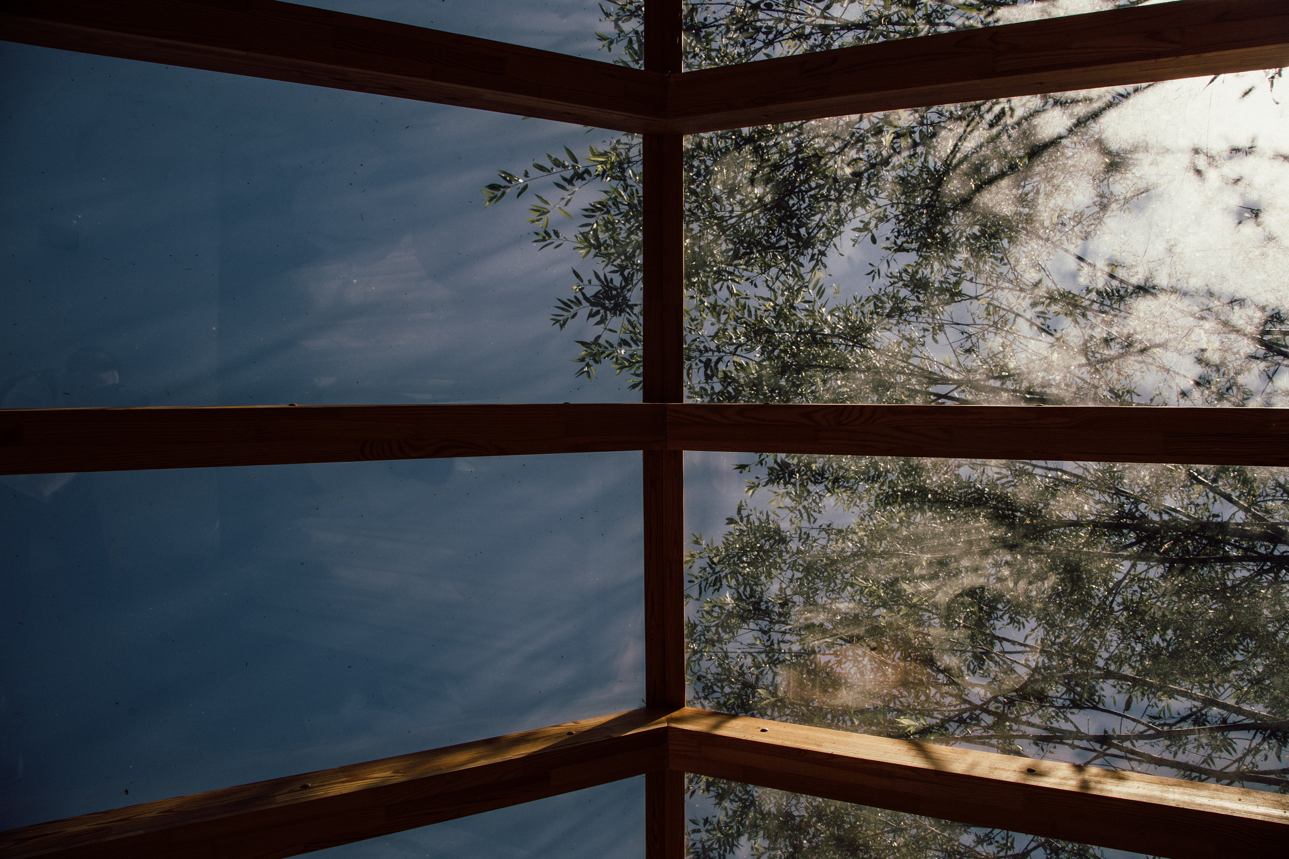 Иван и Анастасия. Фотограф Никита Комаров