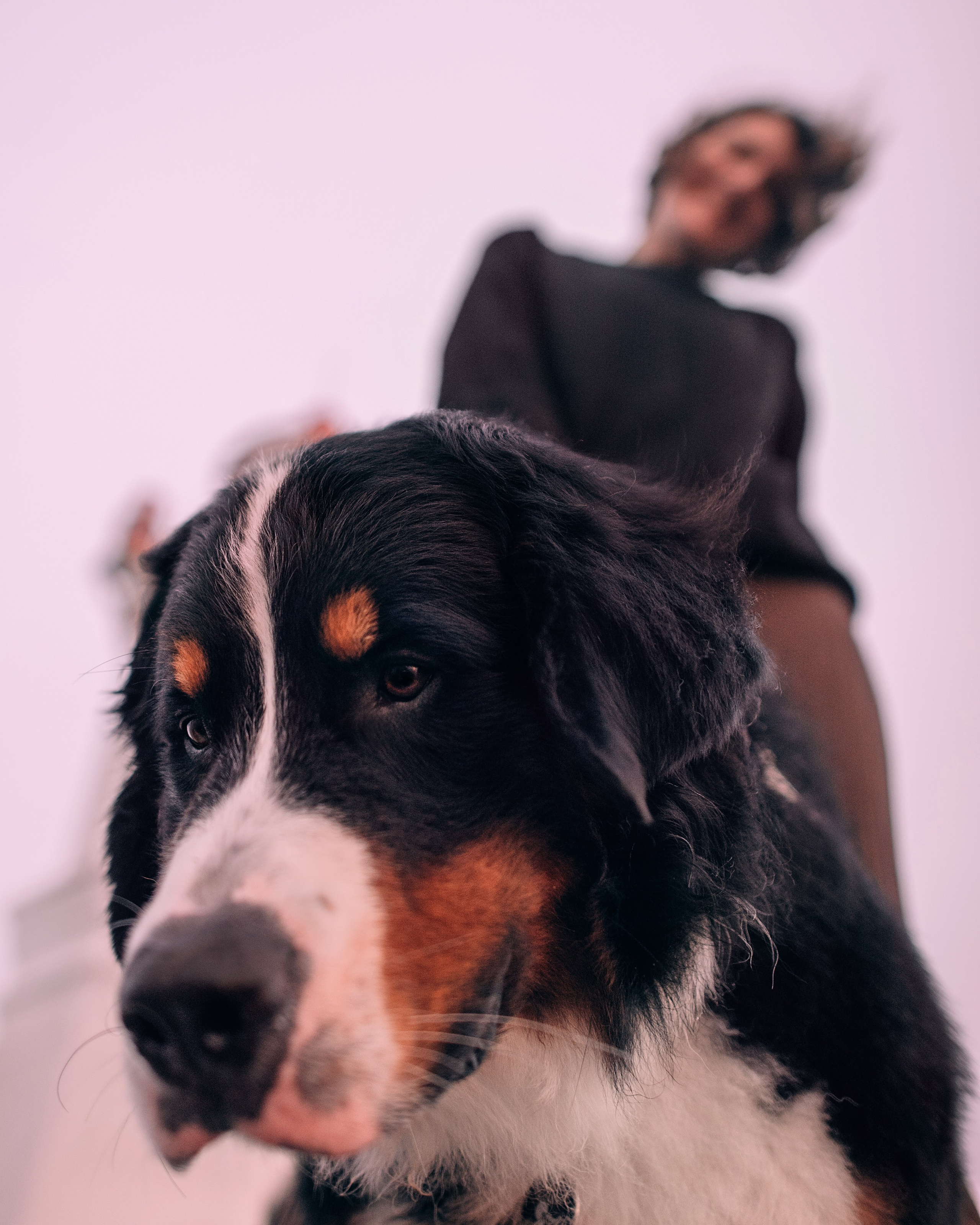 Владивосток: Марс и Маша. Портфолио