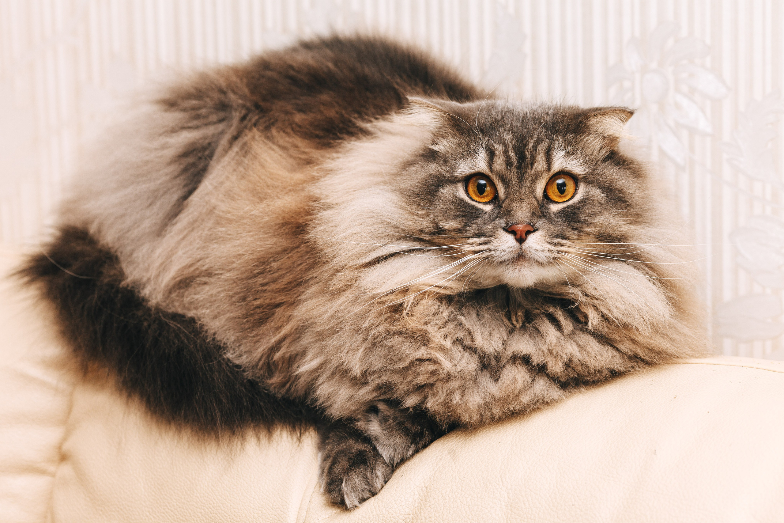 Денис и Марина. Свадебный фотограф Александр Абрамов Москва / Зеленоград