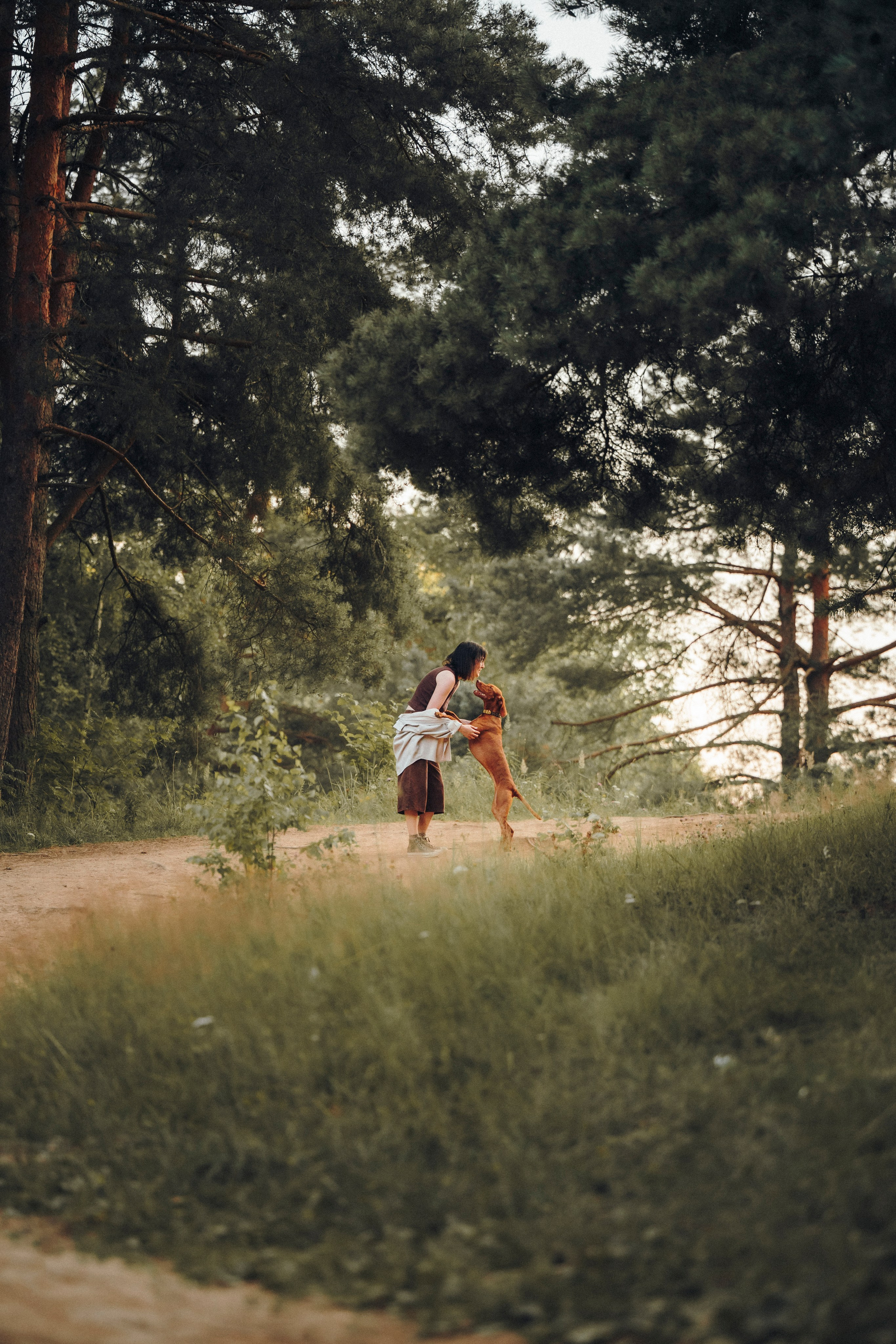 Маша, Трисс и Эста. Семейный фотограф анималист Ананьева Мария — Москва