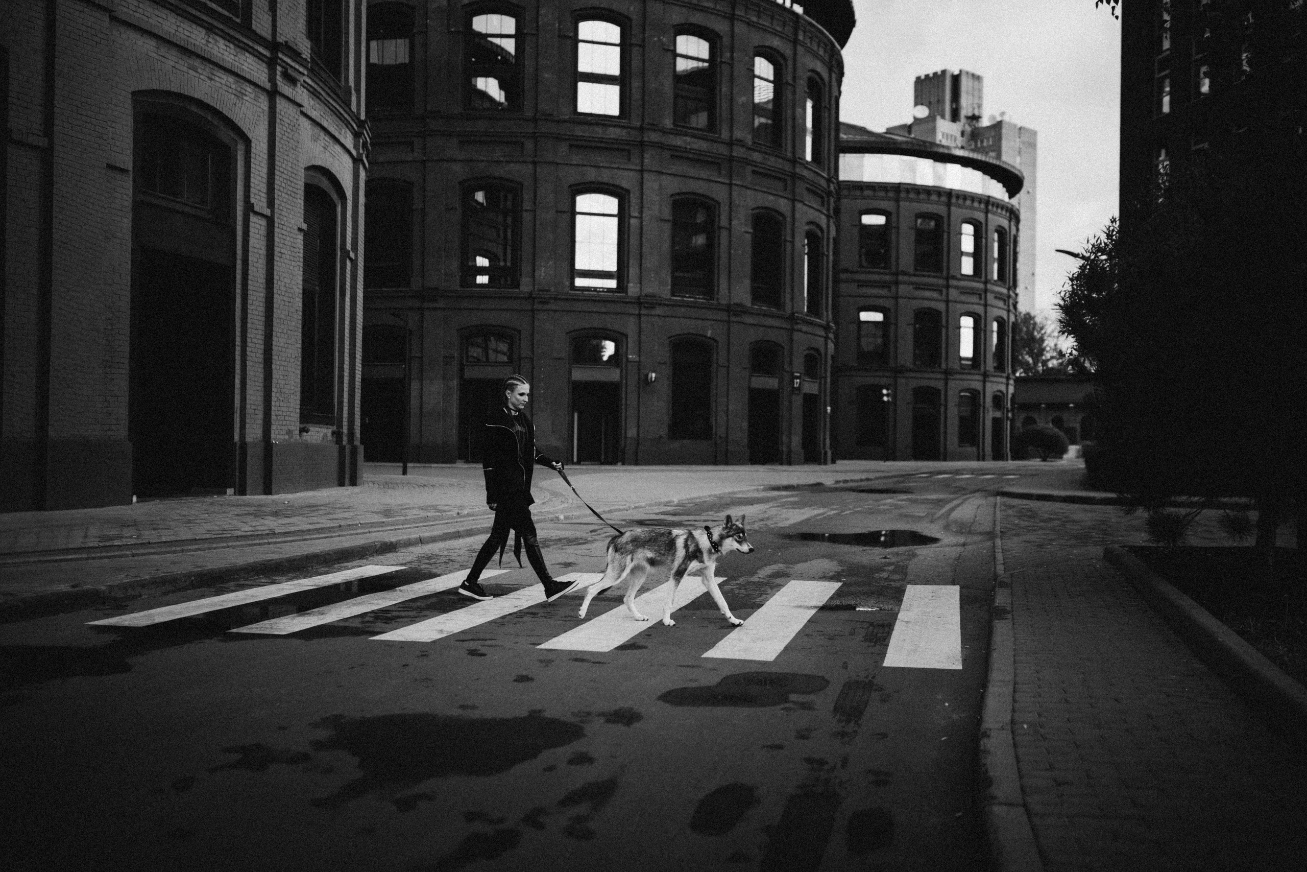 Вика и Кора. Семейный фотограф анималист Ананьева Мария — Москва
