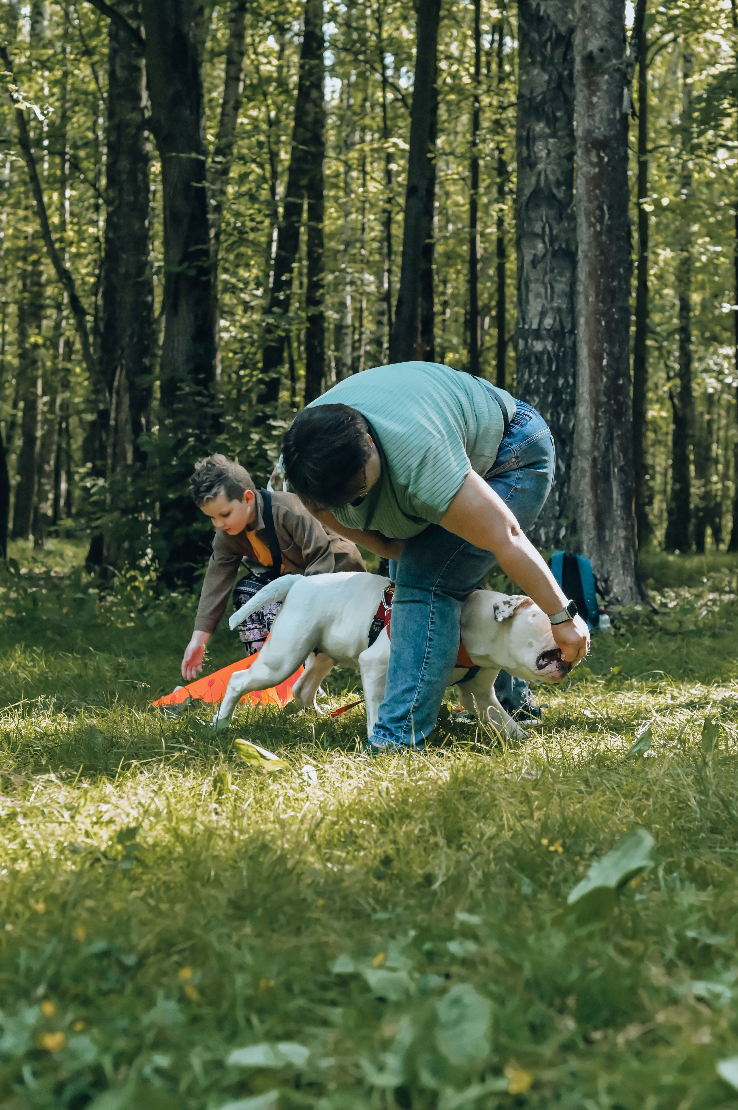 Кинологические соревнования. Семейный и репортажный фотограф в Москве Анастасия Трубкина