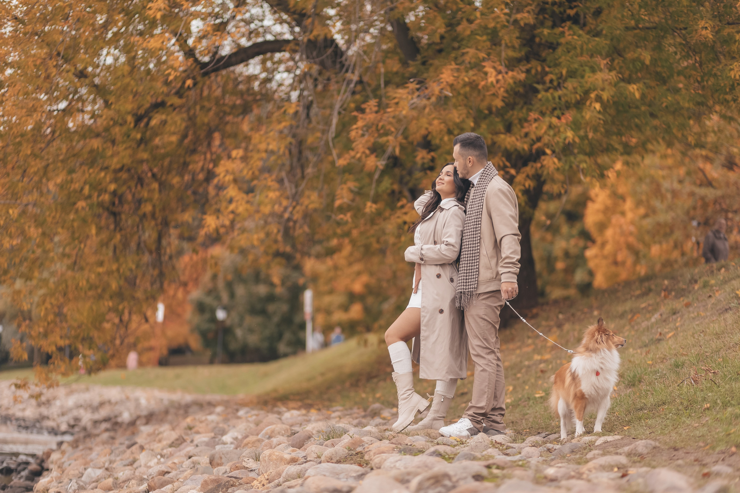 A&I. Свадебный фотограф. Москва. Мытищи