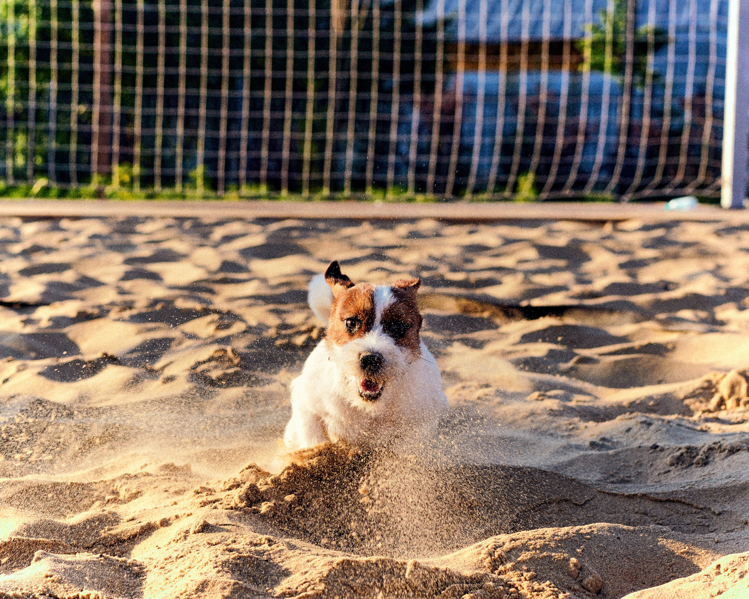«Ты, Я и Виски». Фотограф Казань