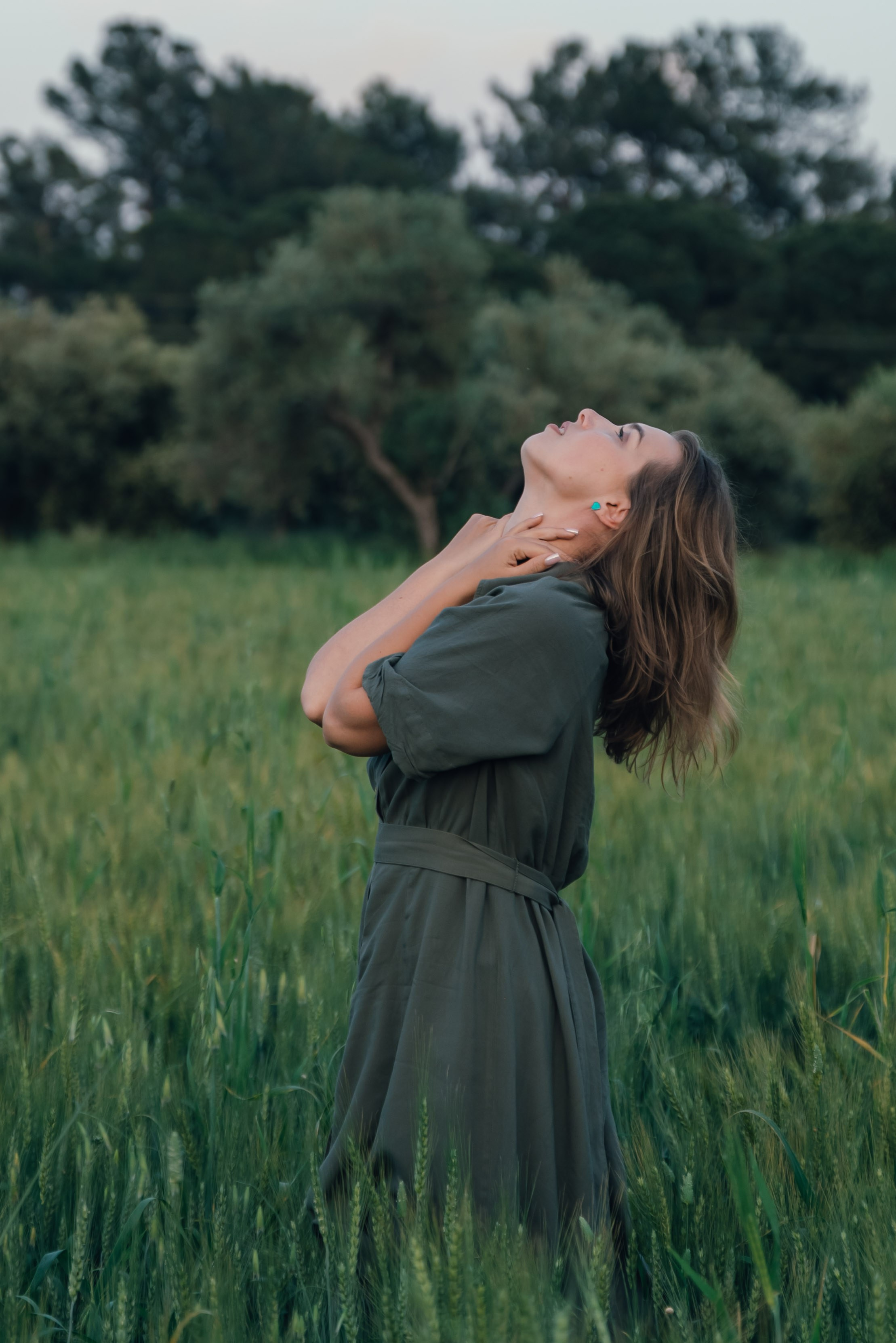 An Evening in the Field. Anna Lobanova | Photographer