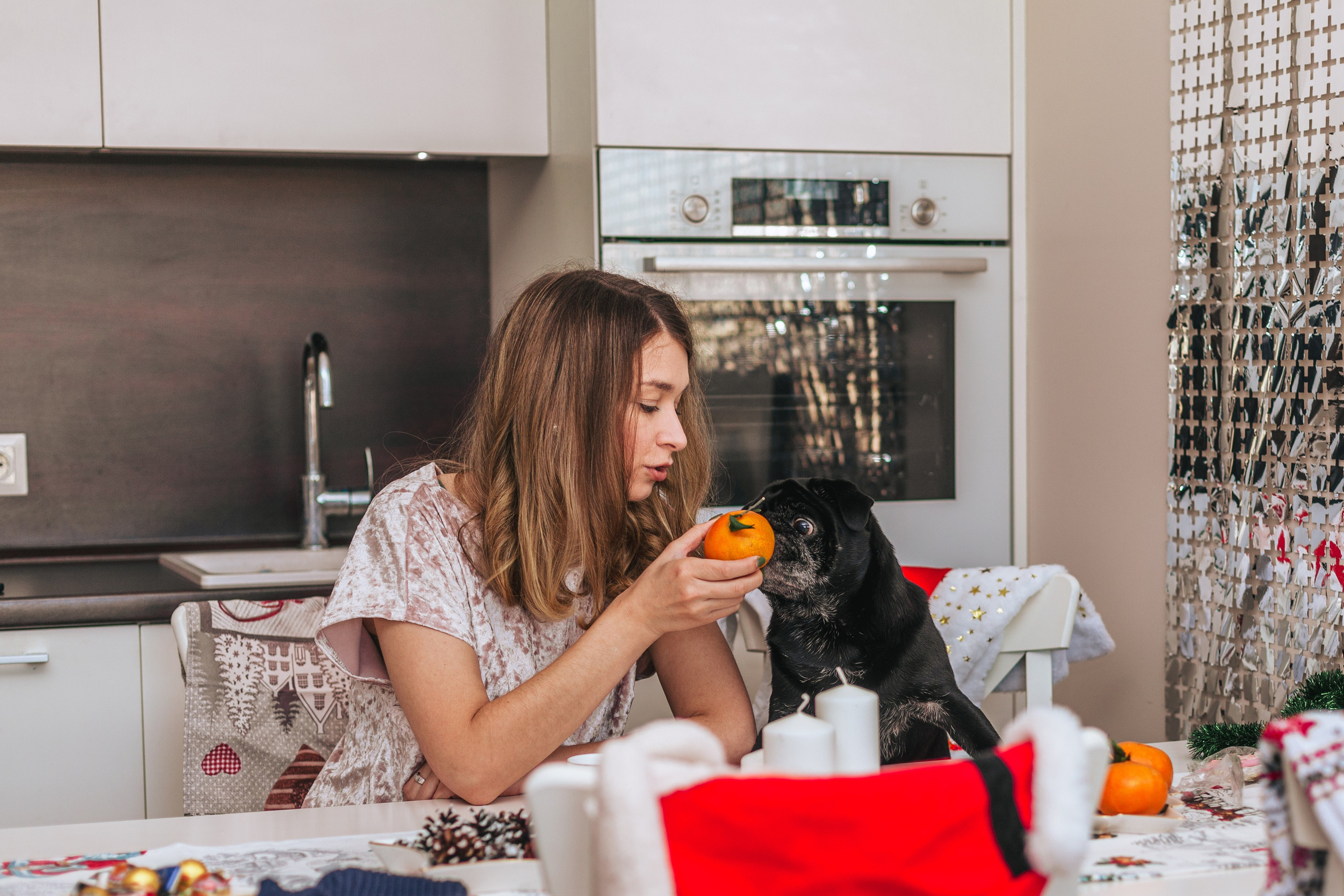 Домашняя фотосессия Оли и двух ее мопсов. Фотограф-анималист Татьяна Степанова