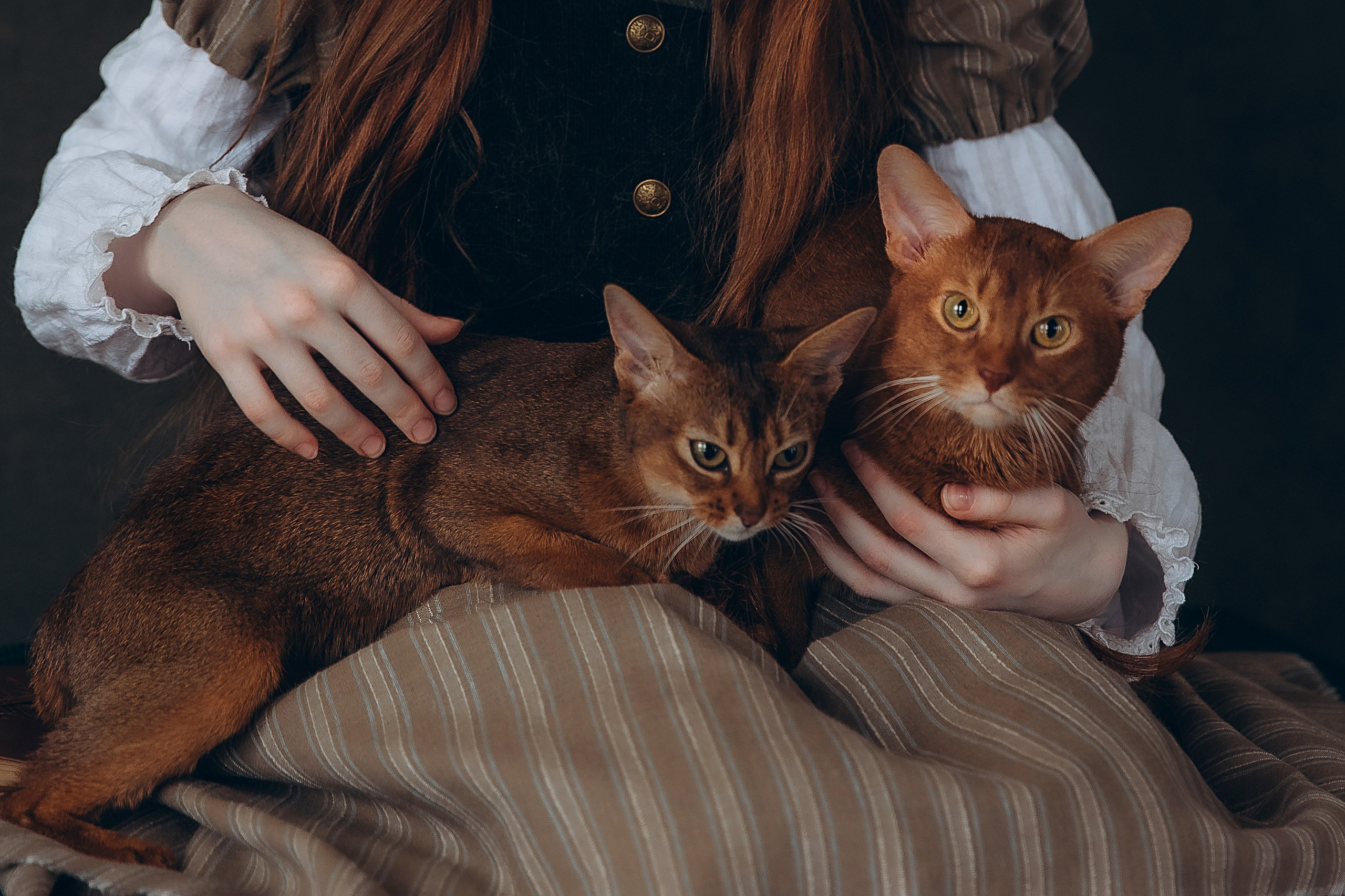 «Лучшие друзья». Фотограф Алина Ионычева в Новосибирске