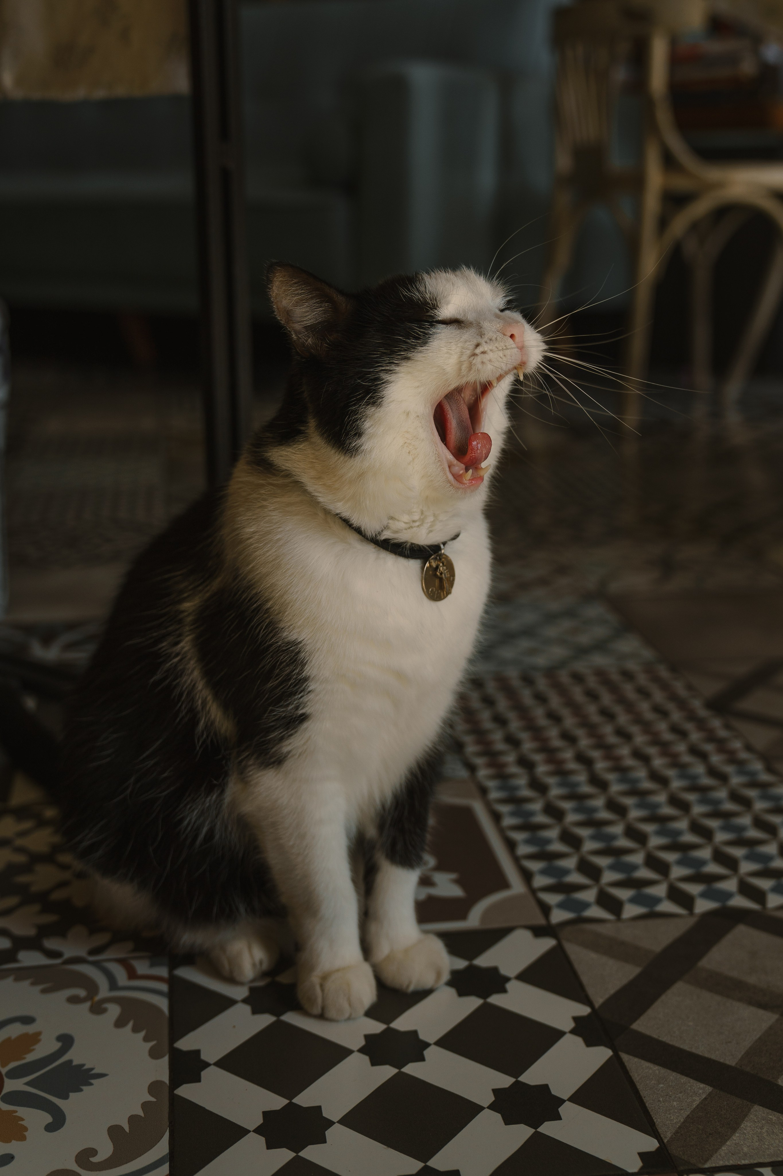 Иван и Анастасия. Свадебный и репортажный фотограф Ростов-на-Дону Алексей Гуль