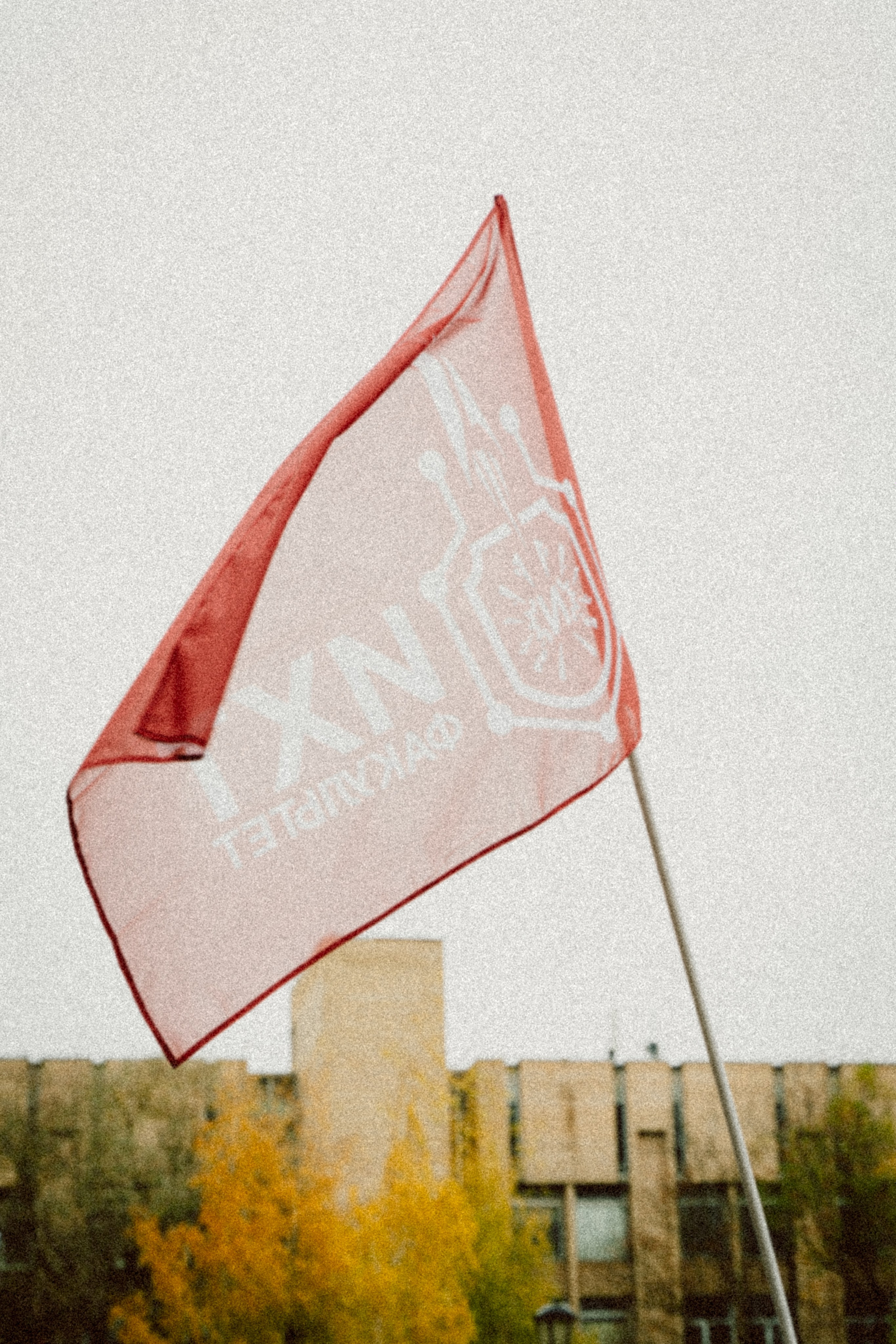 Репортажная съемка фестивалей / уличных событий. Фотограф Анна Кулинская | Москва