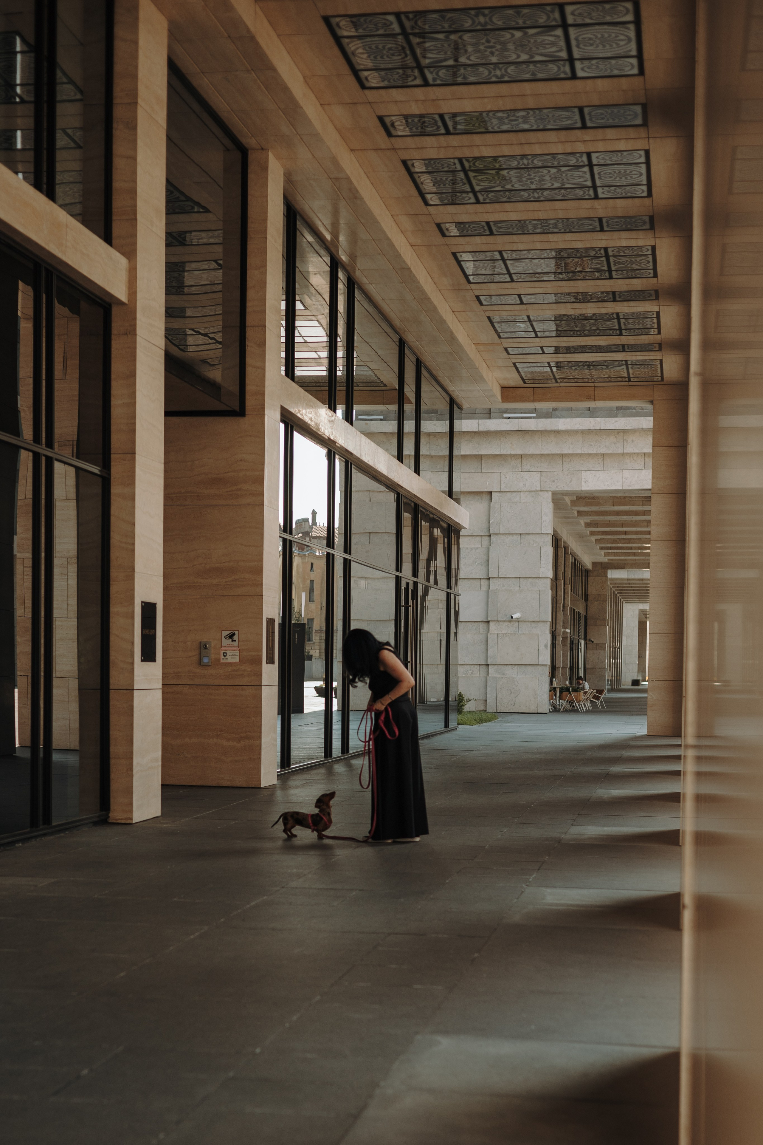 Каринэ и Келли. Фотограф — анималист •love-story•|Санкт-Петербург