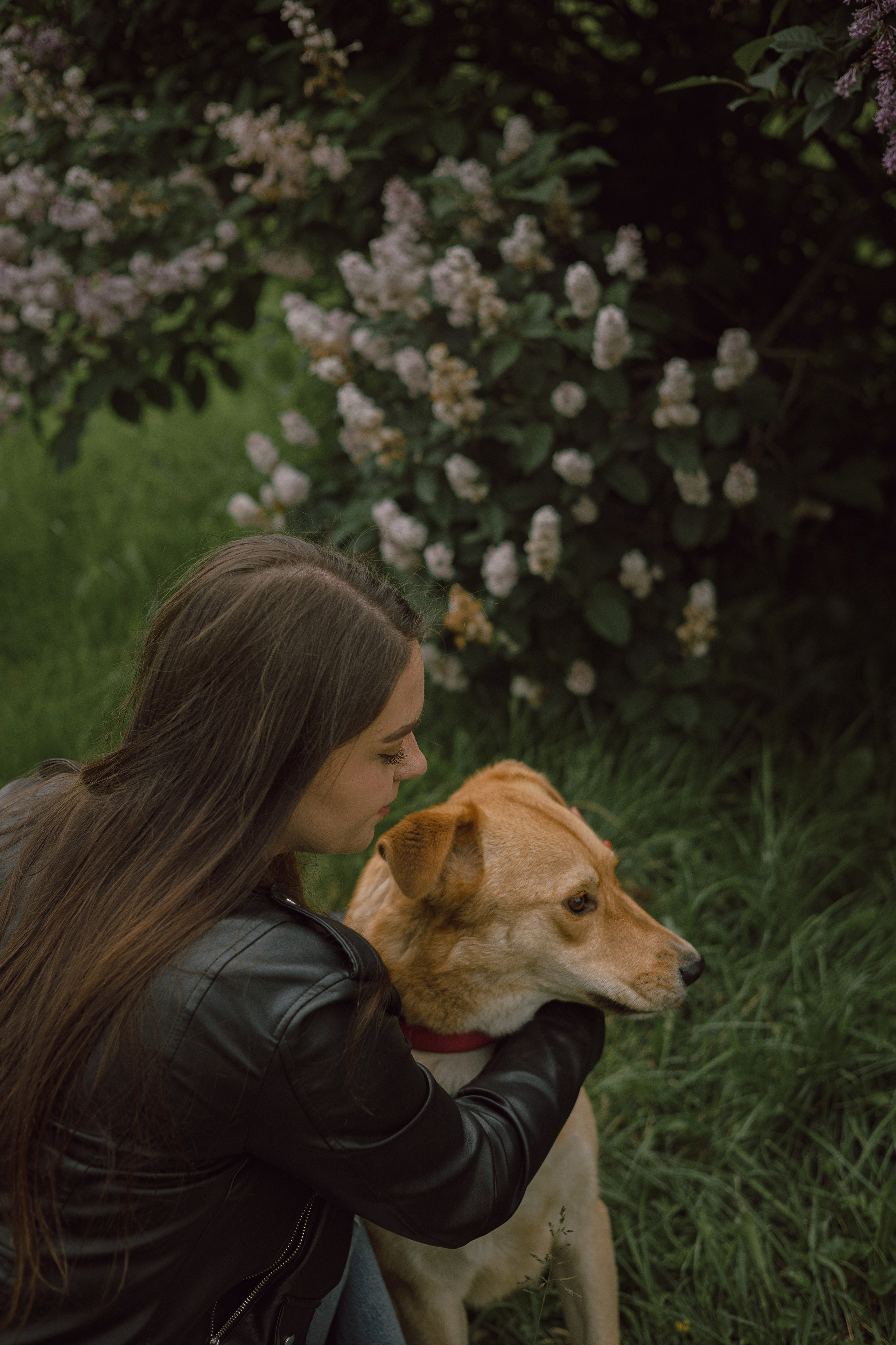 Света и Берт. Фотограф — анималист •love-story•|Санкт-Петербург