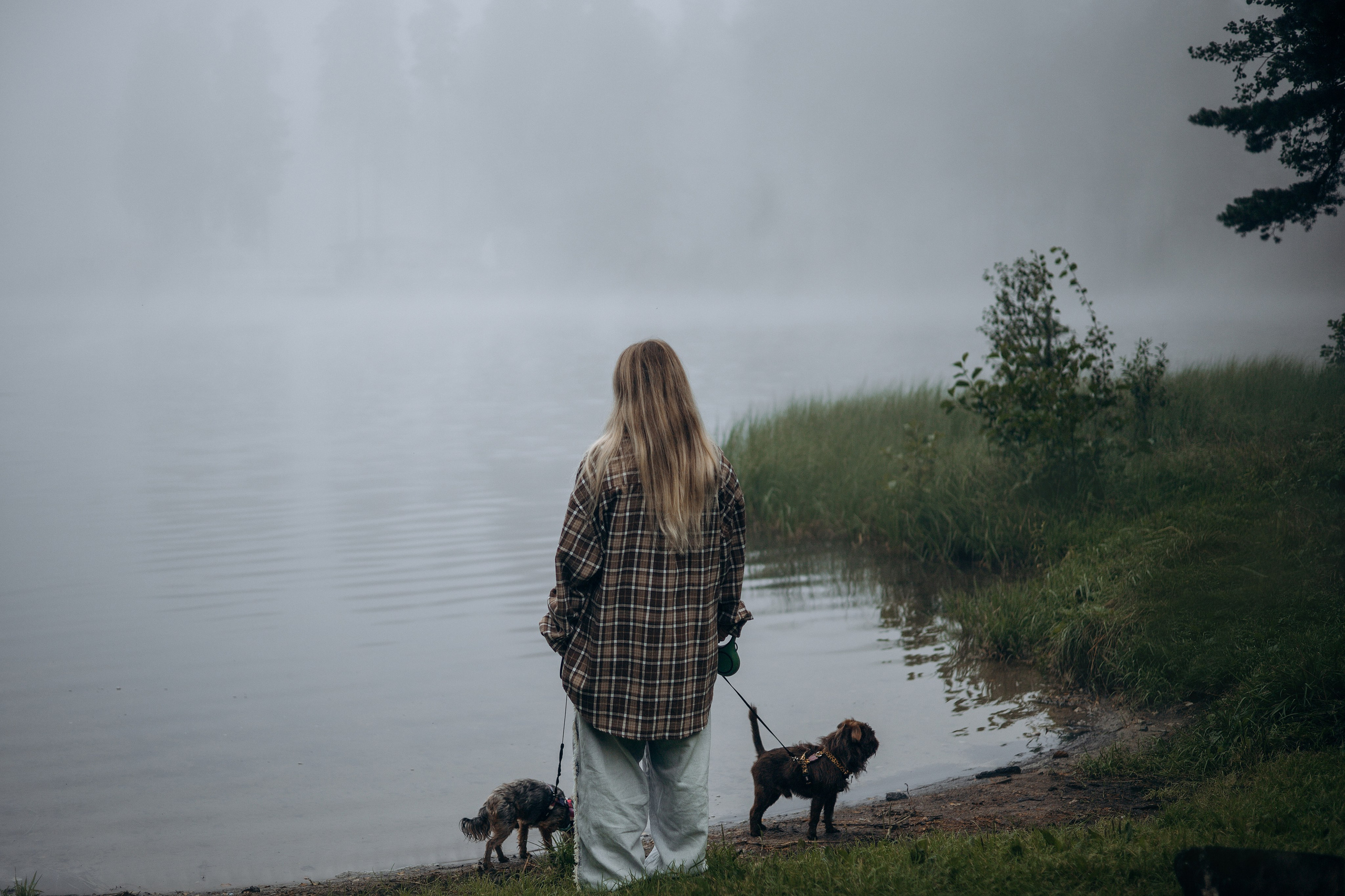 Наташа & Оззи & Йоша. Фотограф — анималист •love-story•|Санкт-Петербург