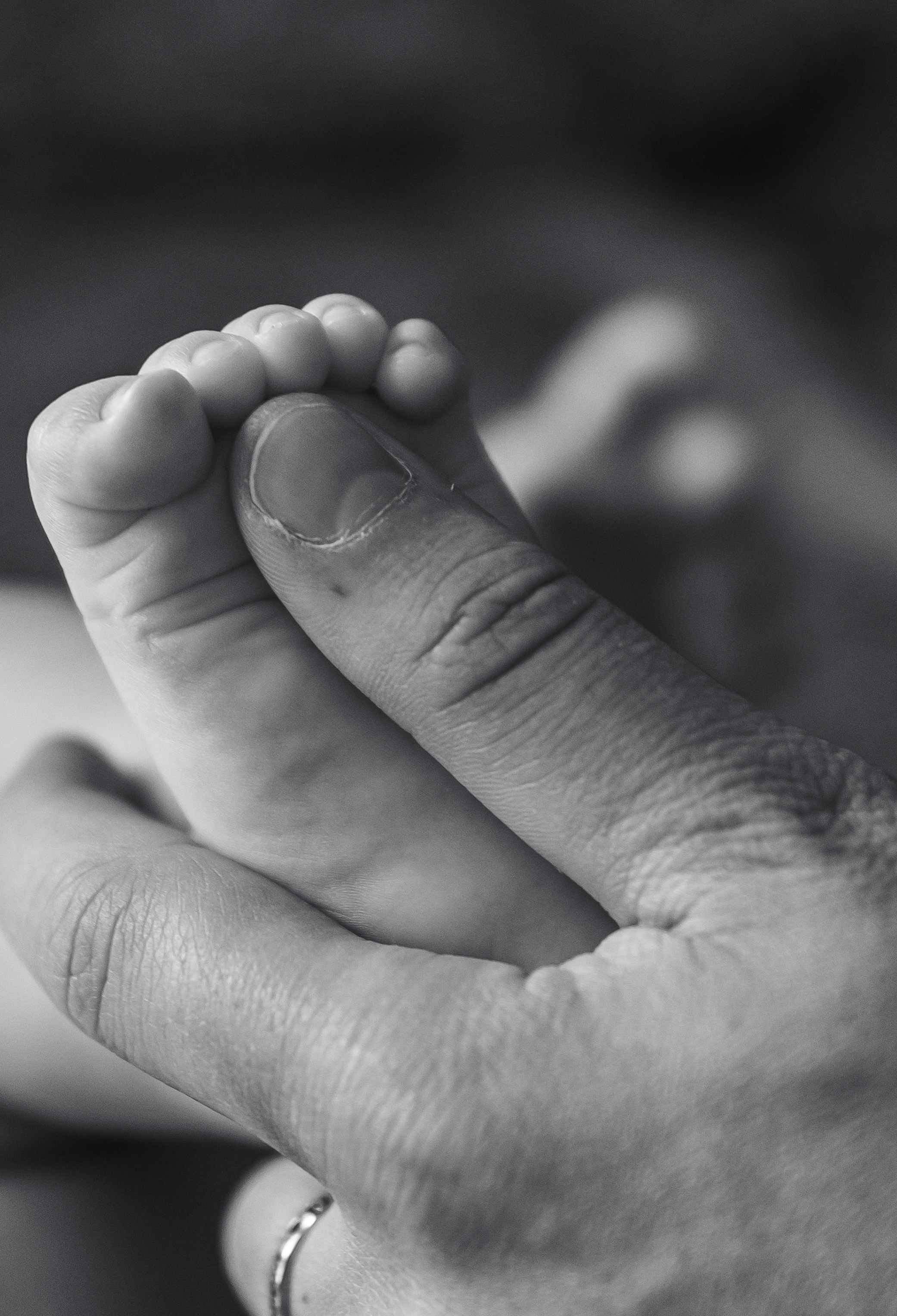 Ефановы. Юлия Холина — ваш фотограф в Москве