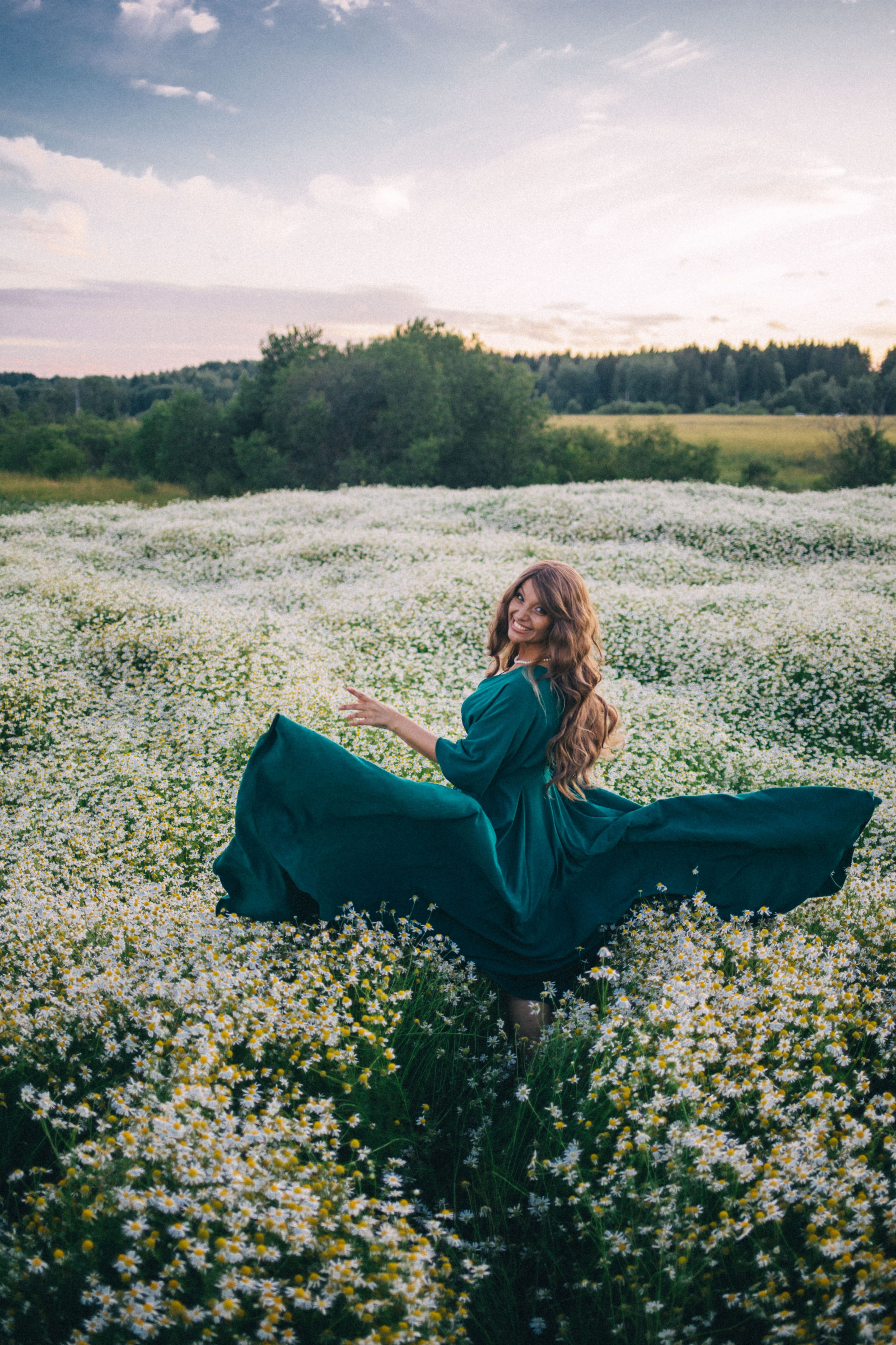 Chamomile fields 2024. Фотограф Наталья Шпиллер Санкт-Петербург
