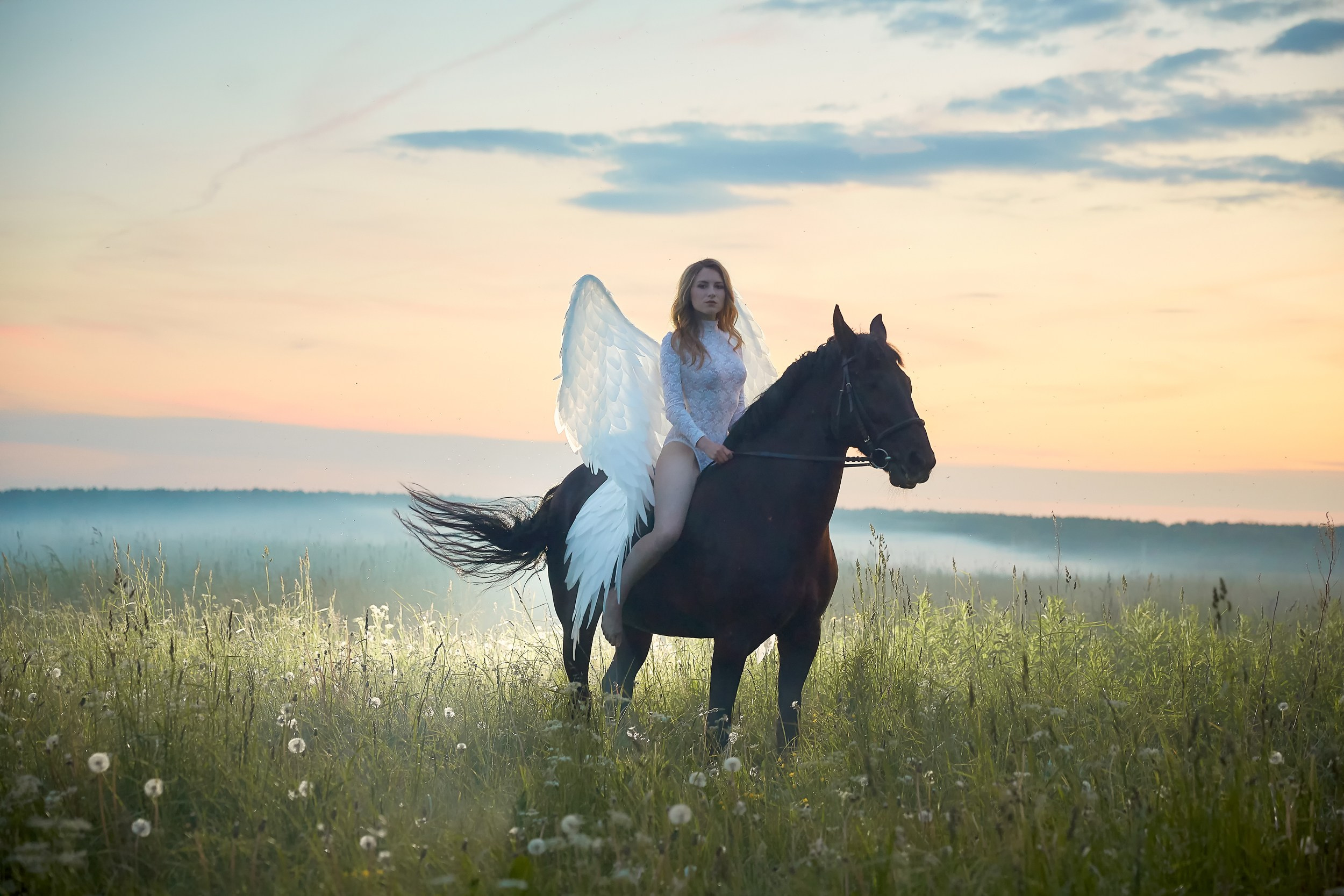 Фотосессия с лошадьми Фотограф Михаил Семенов