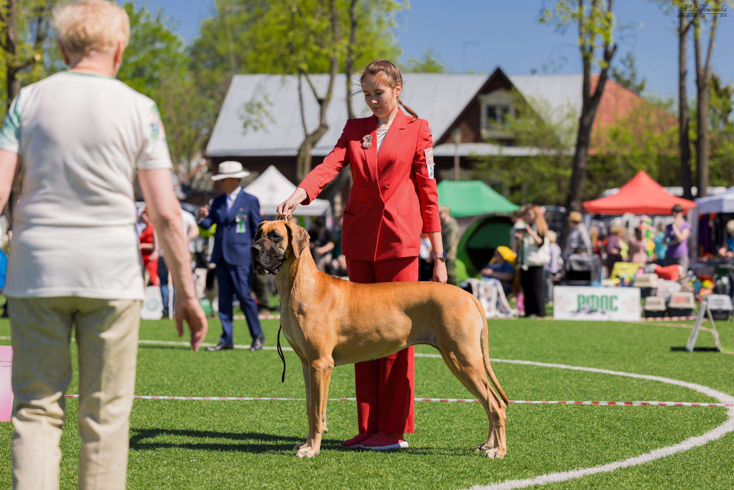 Суздаль 18-19.05.2024. Фотограф-анималист Юлия Германика