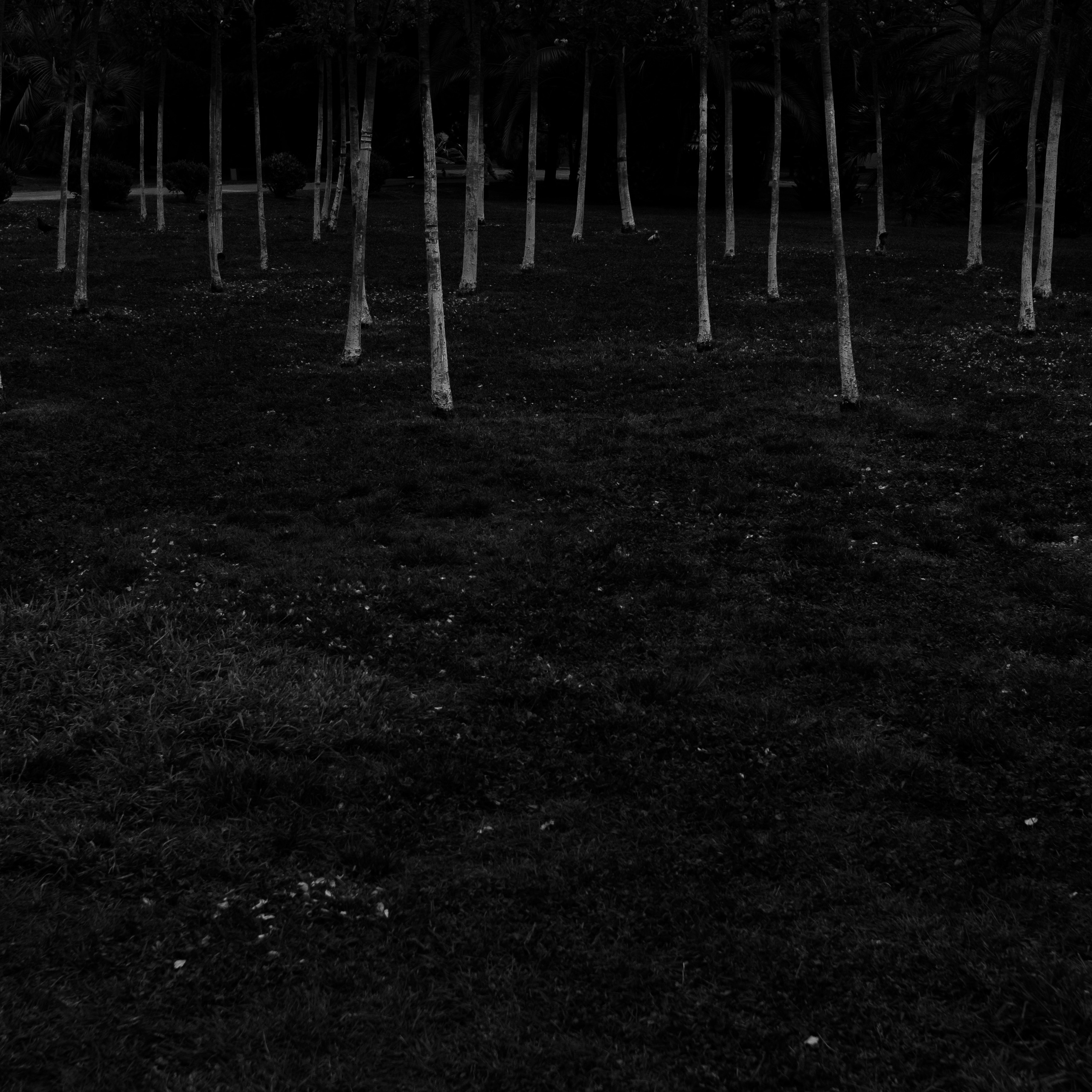 Сочи, 2022. Портретный фотограф в Москве Евгения Яковенко