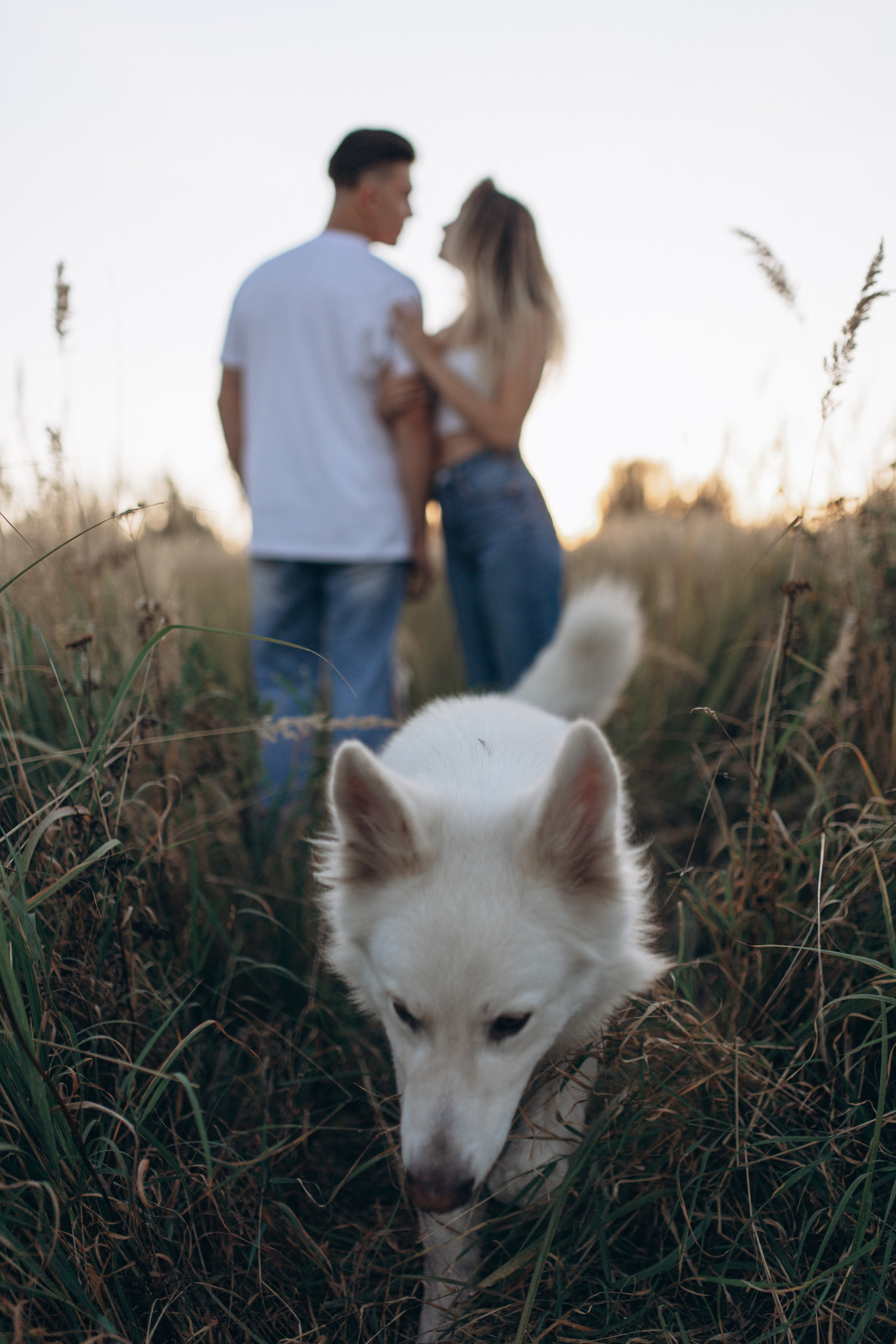Мы вместе. Главная
