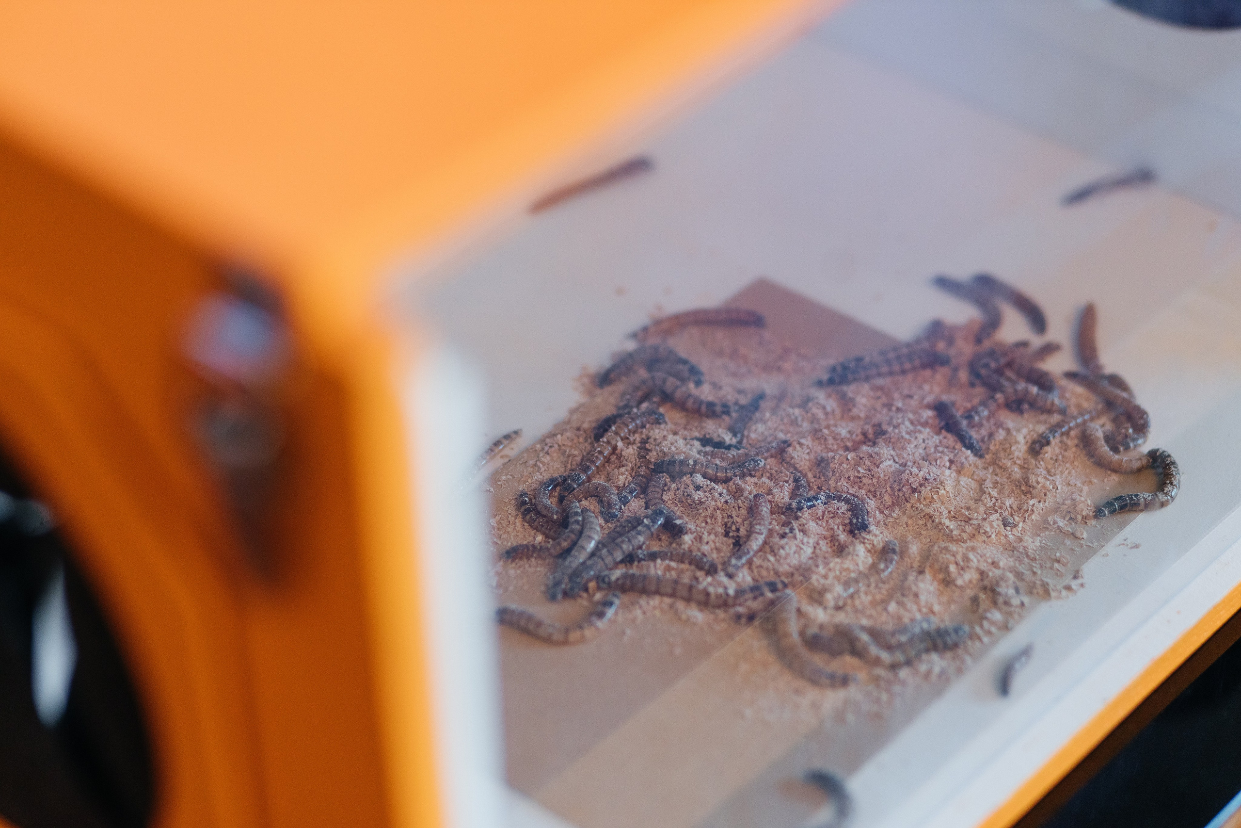 Марусе 9 лет. Свадебный и семейный фотограф