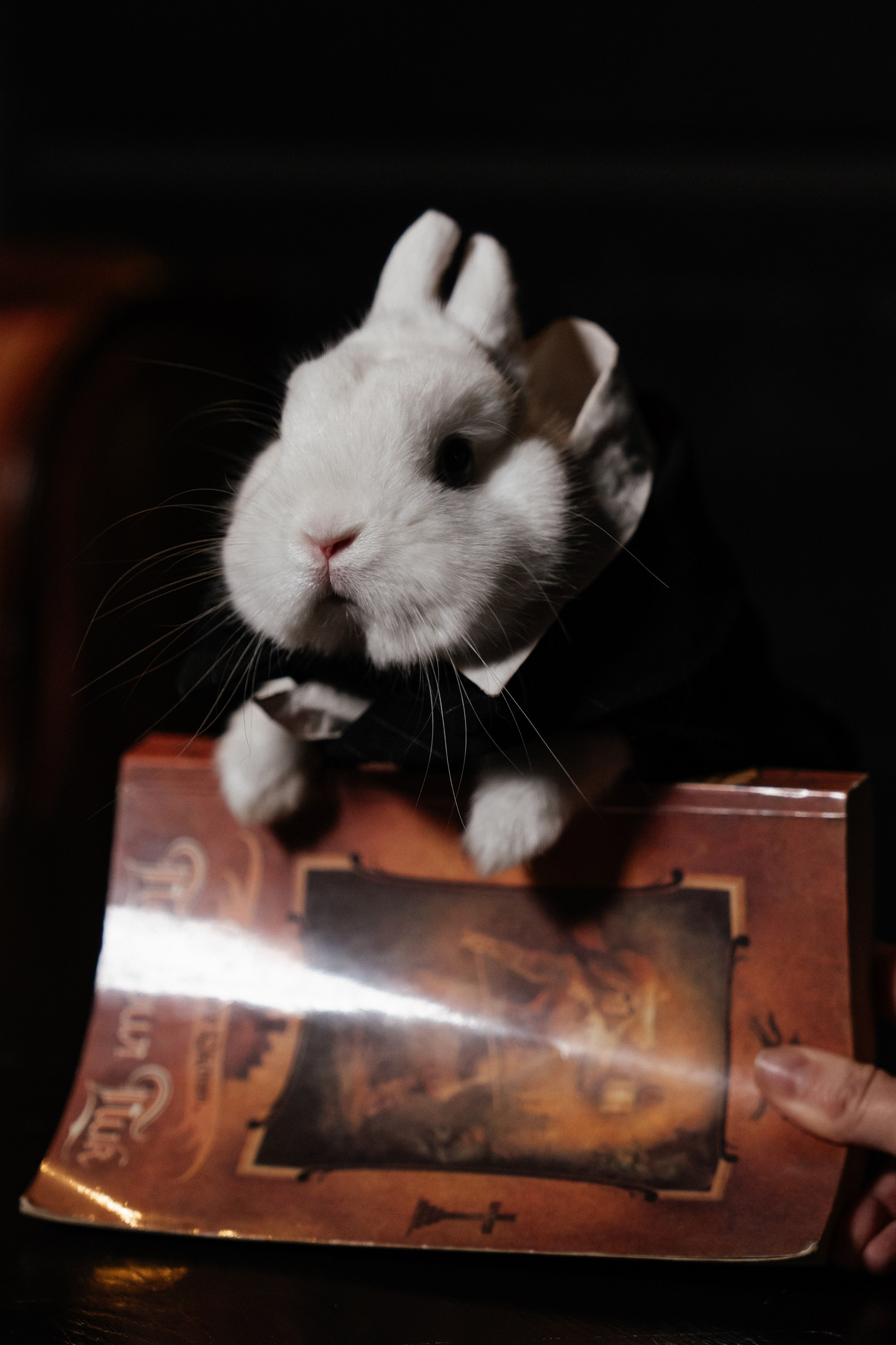 FBC в квартире 8. Андрей Сухинин репортажный свадебный фотограф Санкт-Петербург