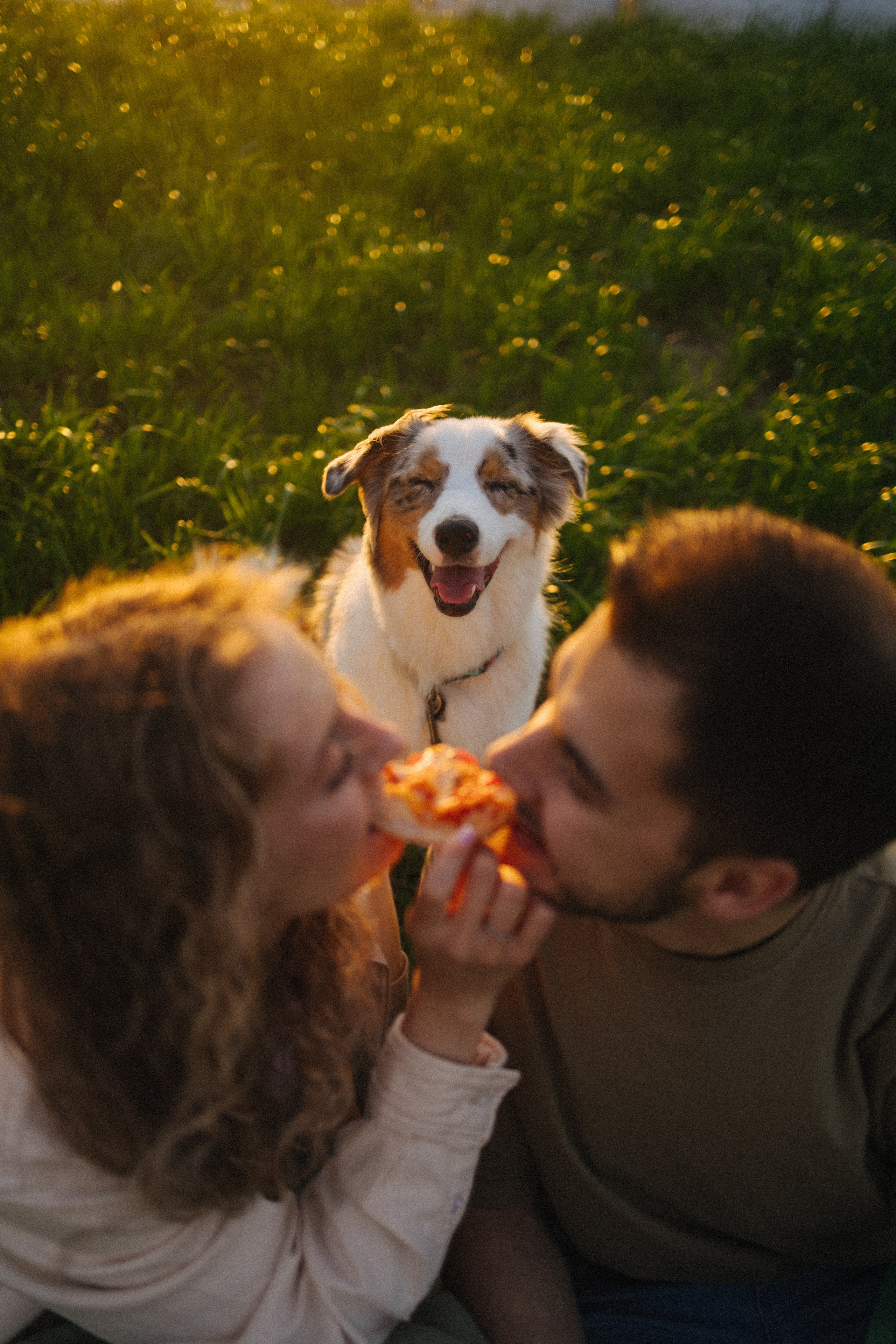 Настя, Влад и Лэйк. Фотораф — анималист Мария Шистка